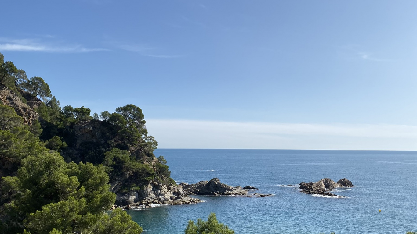 Обои побережье, море, растительность, океан, берег в разрешении 1366x768