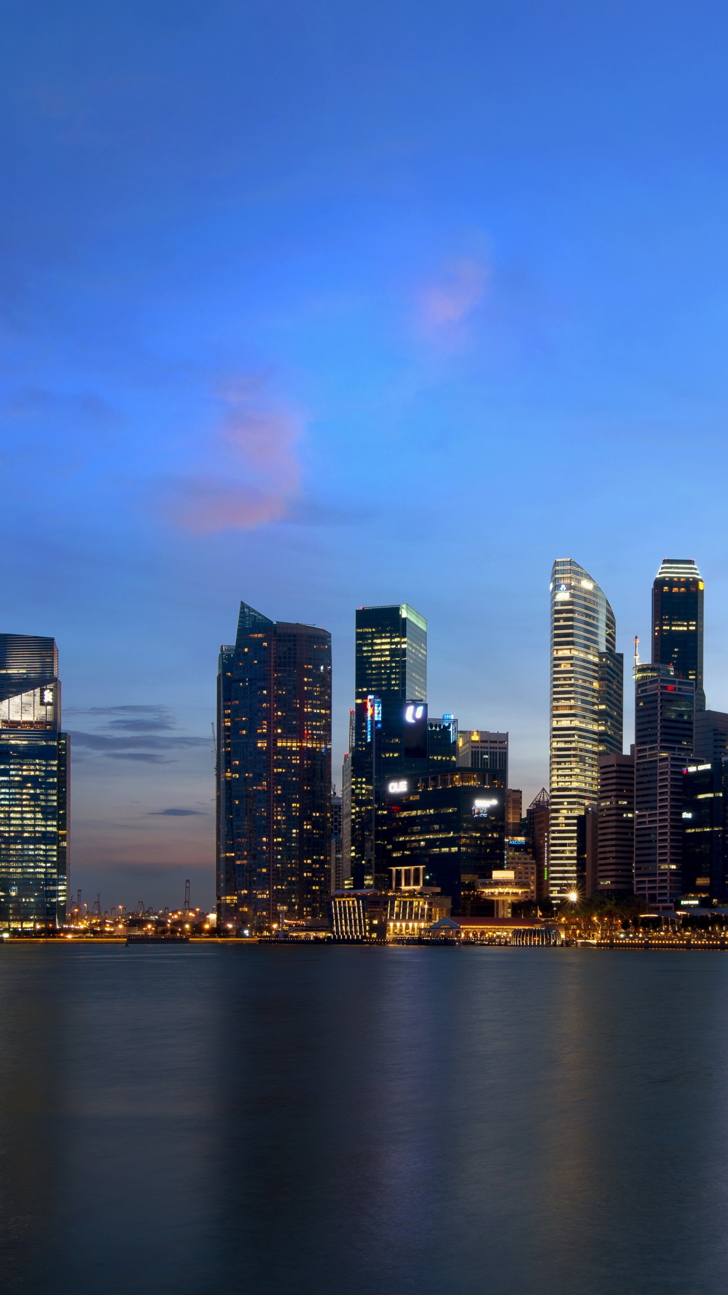 Обои городской пейзаж, Сингапур, город, линия горизонта, метрополия в разрешении 1440x2560