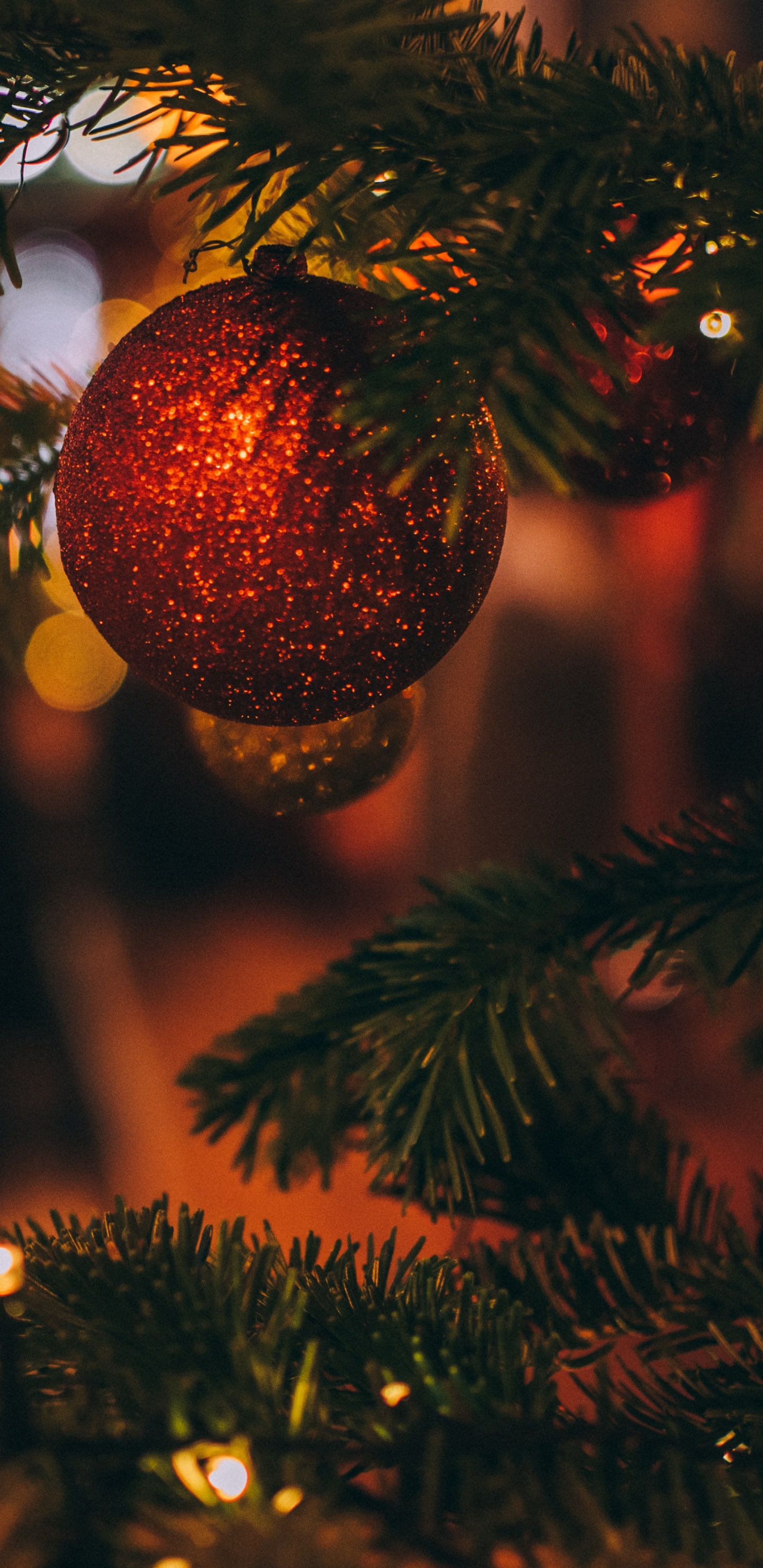 Обои Рождественский день, елка, дерево, рождественский орнамент, Рождество в разрешении 1440x2960