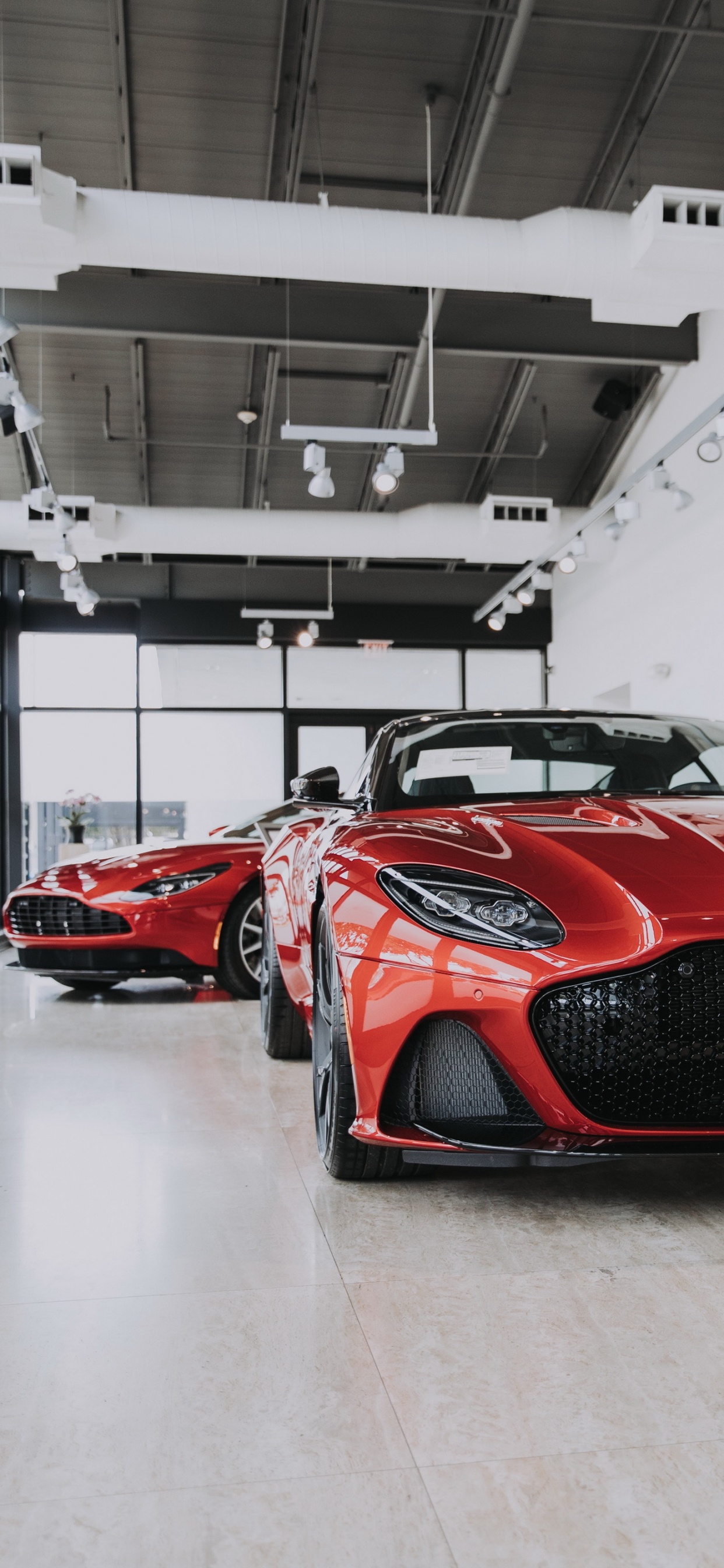 Обои гоночный автомобиль, легковые автомобили, колесо, шина, автомобильное освещение в разрешении 1242x2688