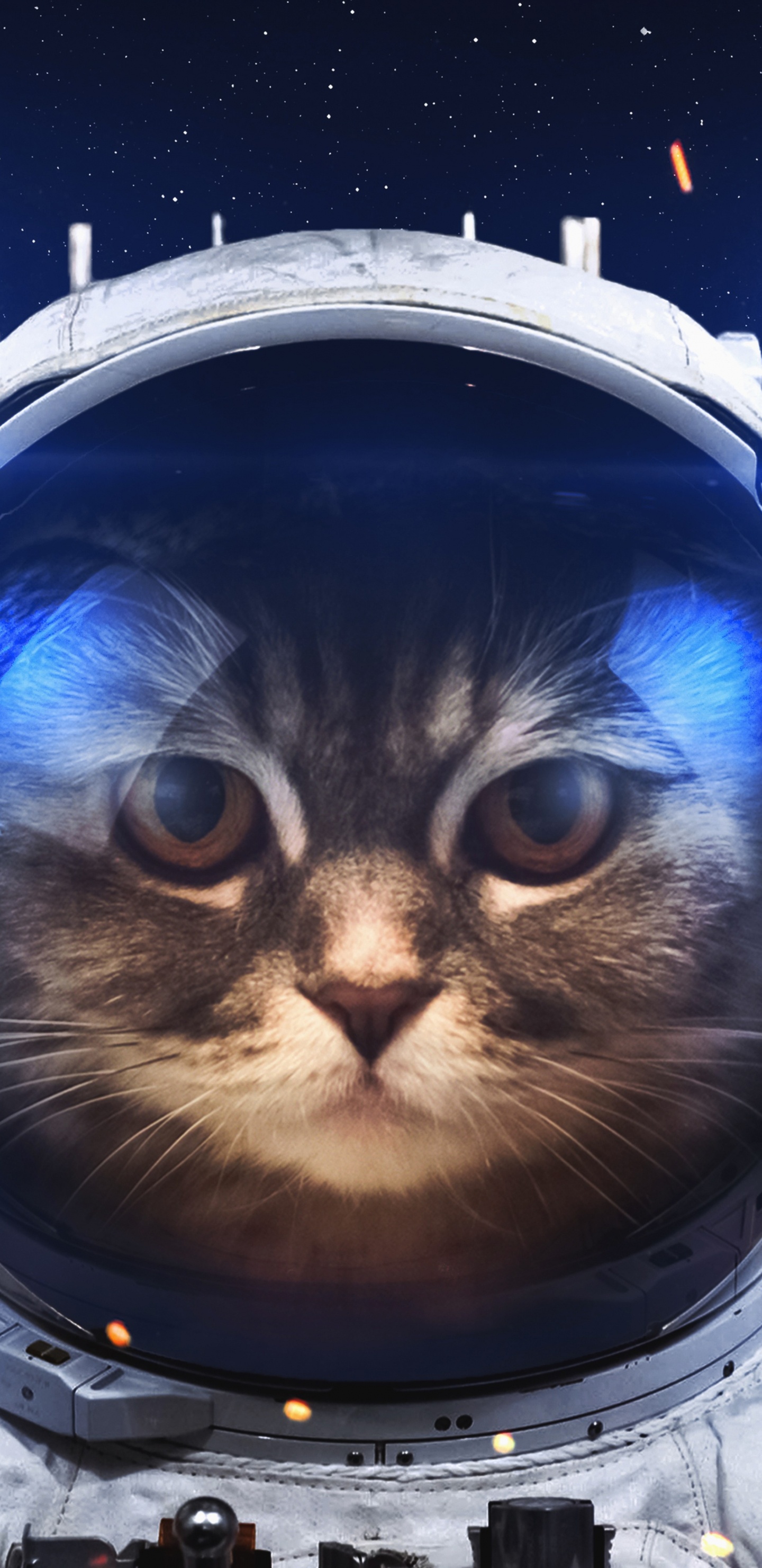 Обои графика, астронавт, космос, космическое пространство, анимация в разрешении 1440x2960