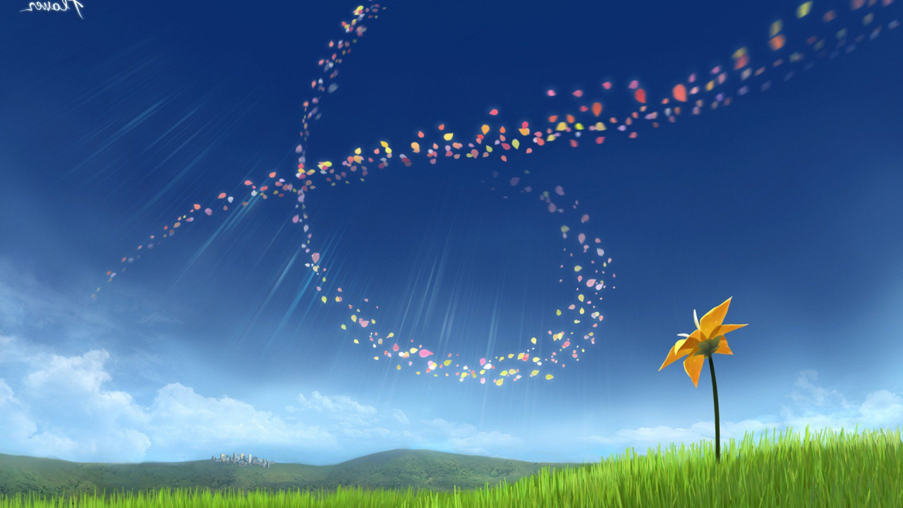 Обои цветок, Жалуются, Люди в природе, природный ландшафт, природа в разрешении 1280x720