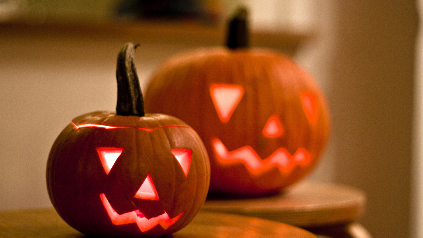 Обои тыква, калебас, Апельсин, зимний сквош, тыквенных в разрешении 1366x768