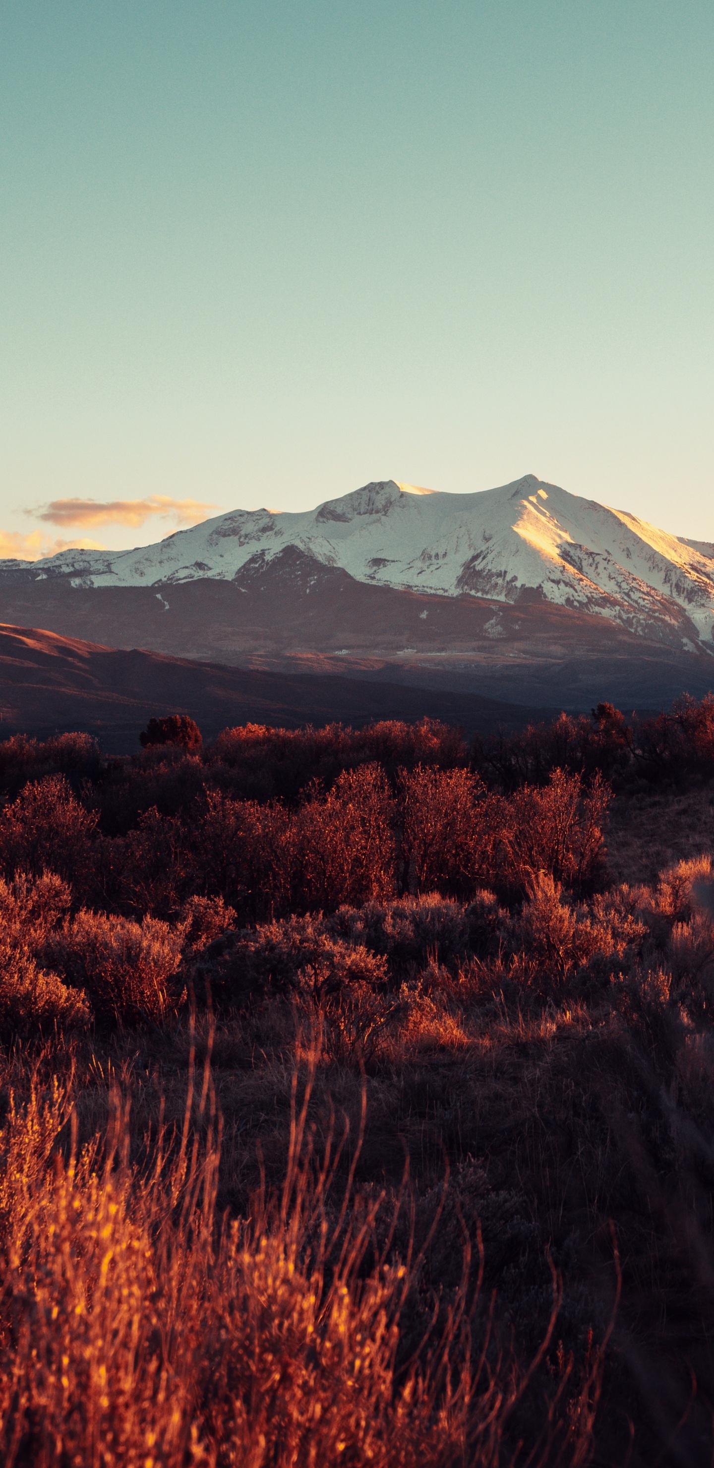Обои гора, горный хребет, горный рельеф, природа, дикая местность в разрешении 1440x2960