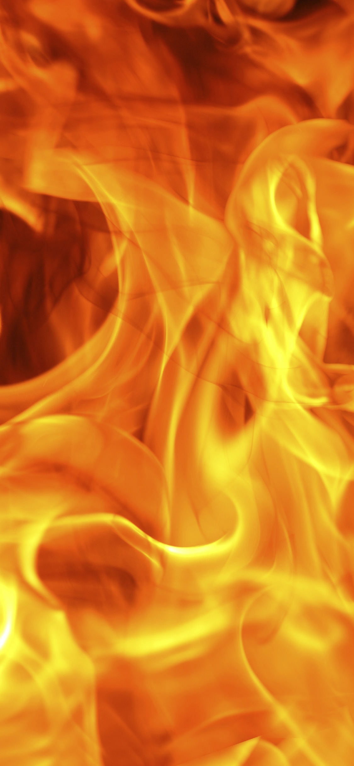 Обои огонь, пламя, Апельсин, крещение, Servpro из Гранд-Траверс уголок в разрешении 1125x2436