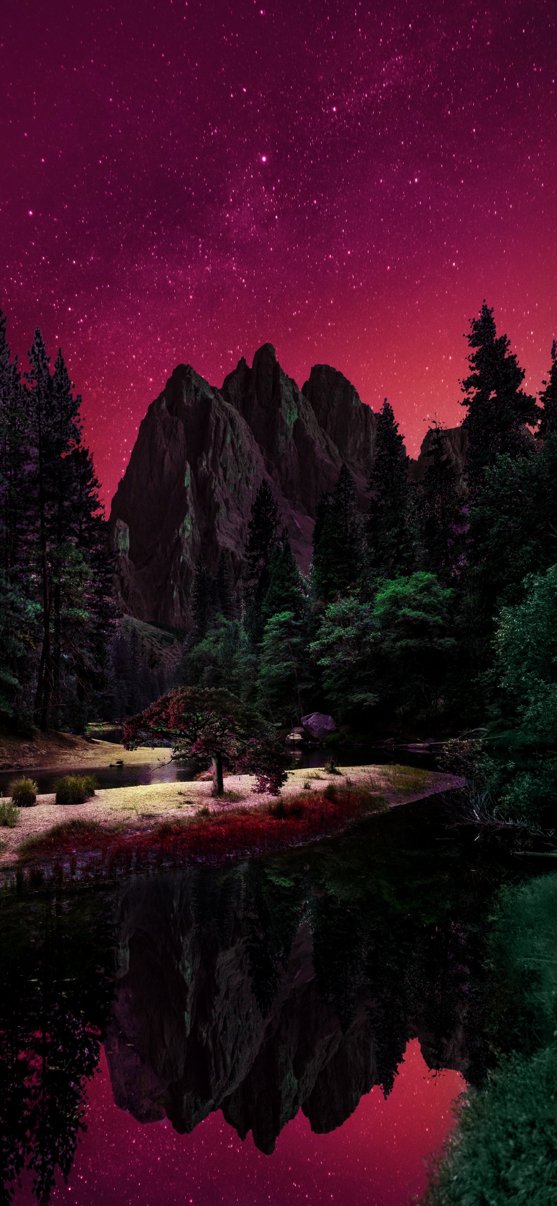 Обои природа, вода, растение, мир, природный ландшафт в разрешении 1125x2436