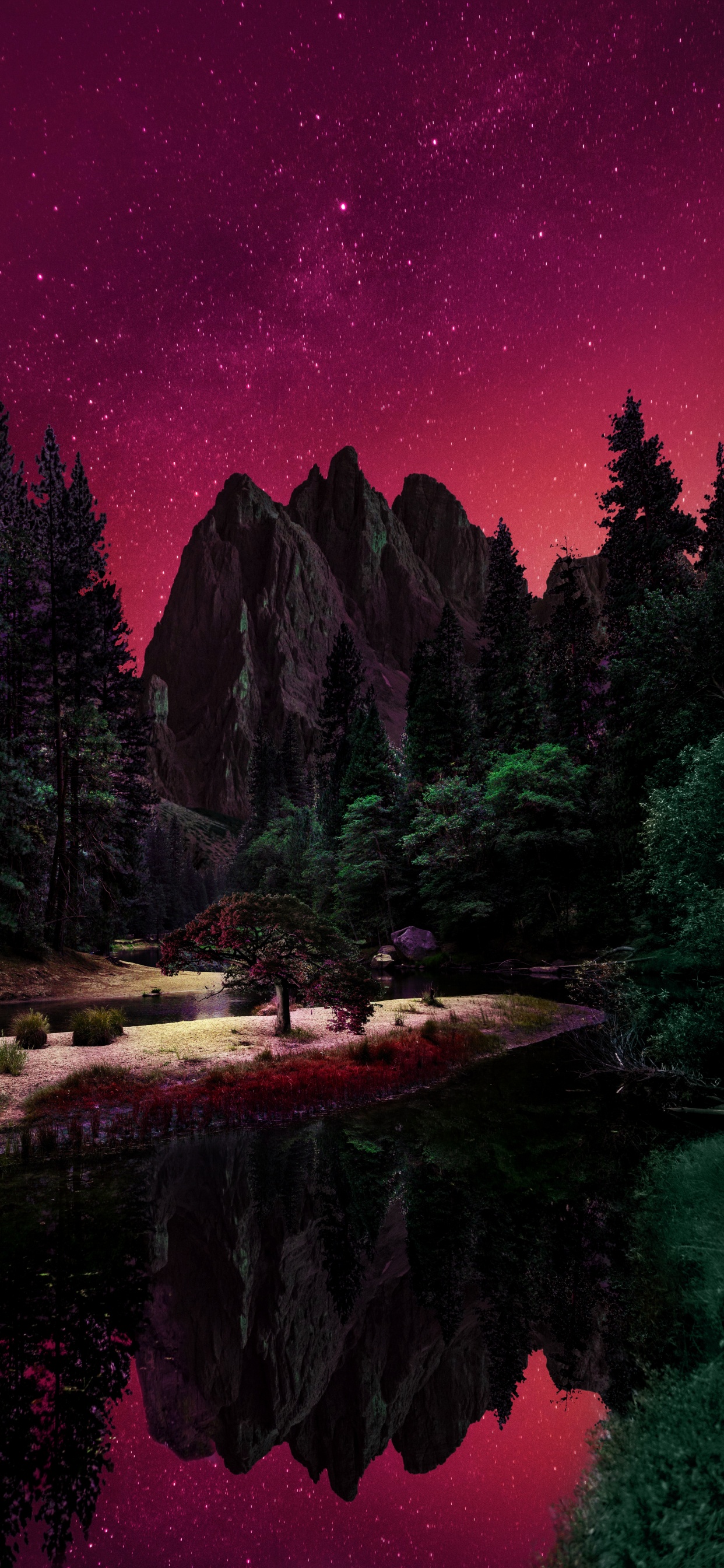 Обои природа, вода, растение, мир, природный ландшафт в разрешении 1242x2688