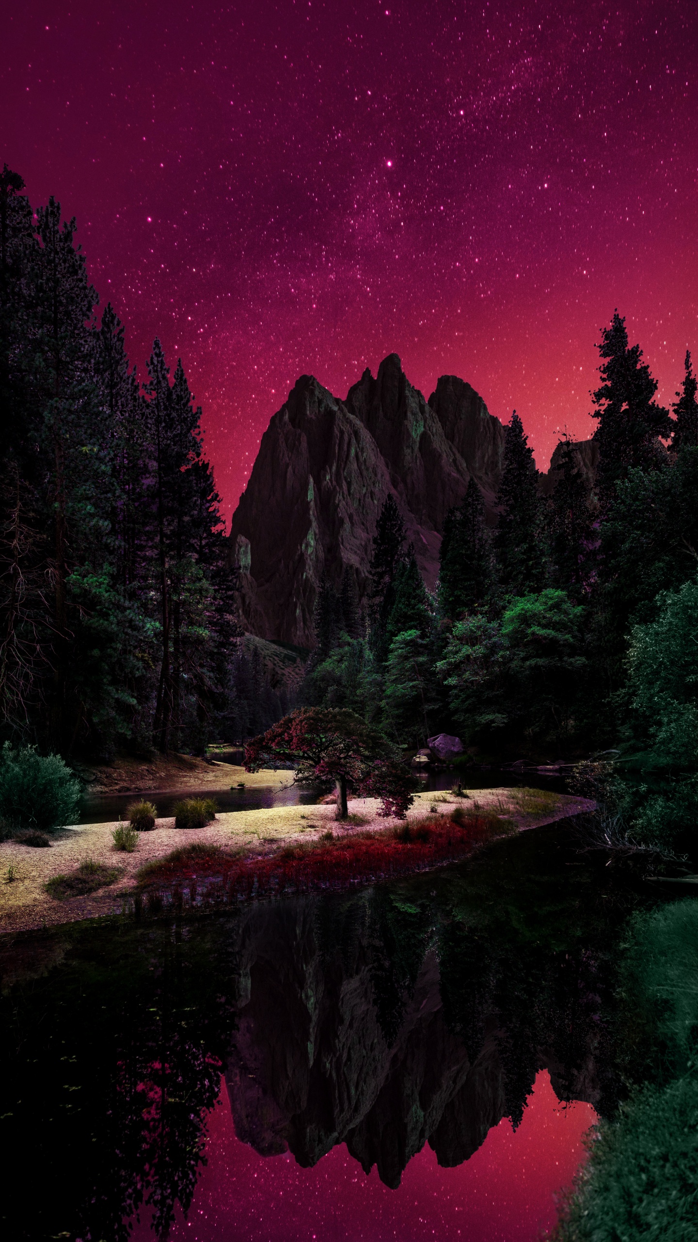 Обои природа, вода, растение, мир, природный ландшафт в разрешении 1440x2560