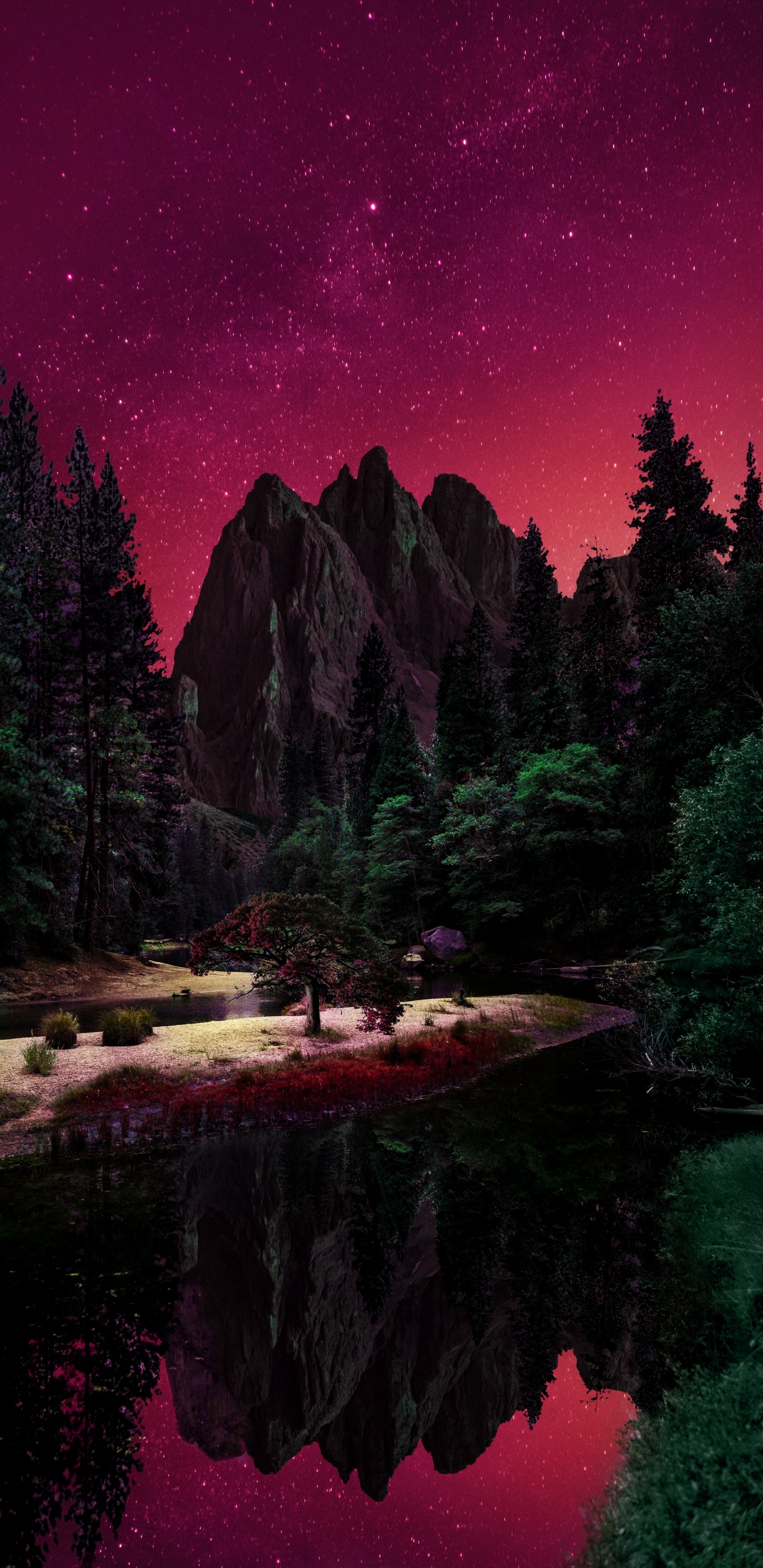 Обои природа, вода, растение, мир, природный ландшафт в разрешении 1440x2960