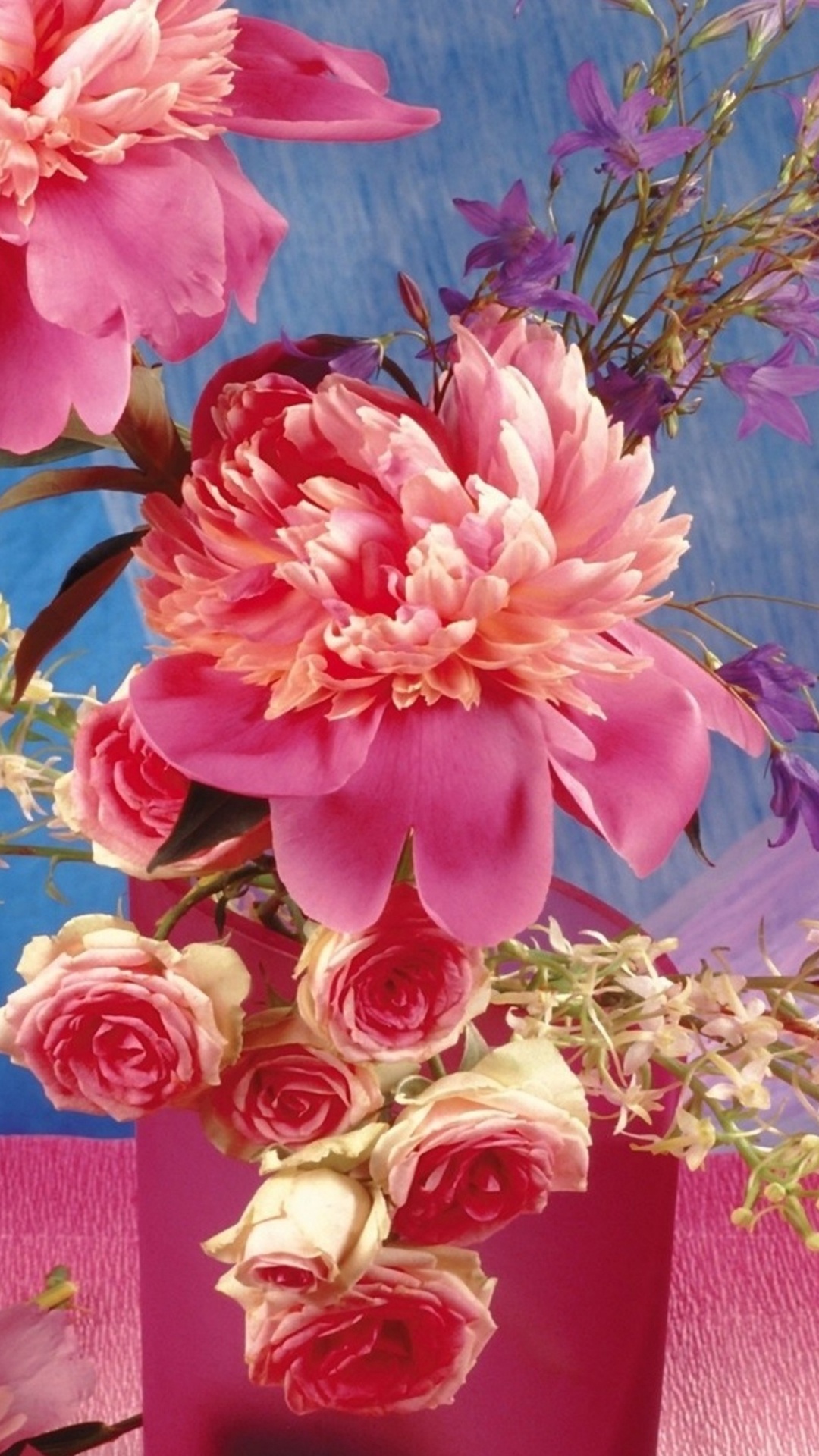 Обои натюрморт, лепесток, растение, пурпурный цвет, розовый в разрешении 1080x1920