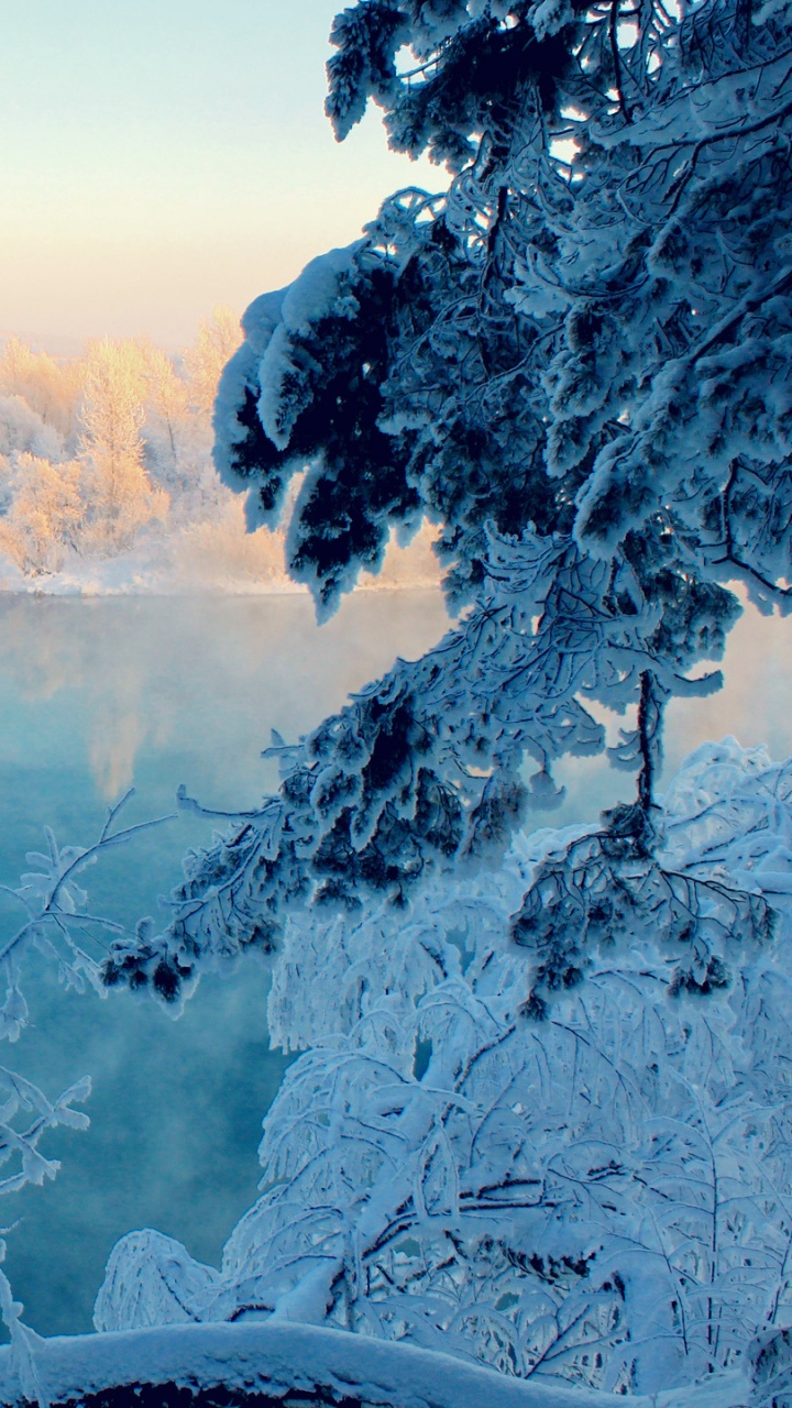 Обои снег, зима, мороз, природа, замораживание в разрешении 720x1280