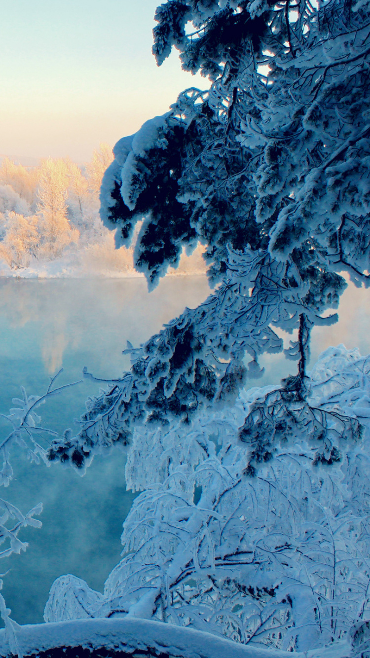 Обои снег, зима, мороз, природа, замораживание в разрешении 750x1334