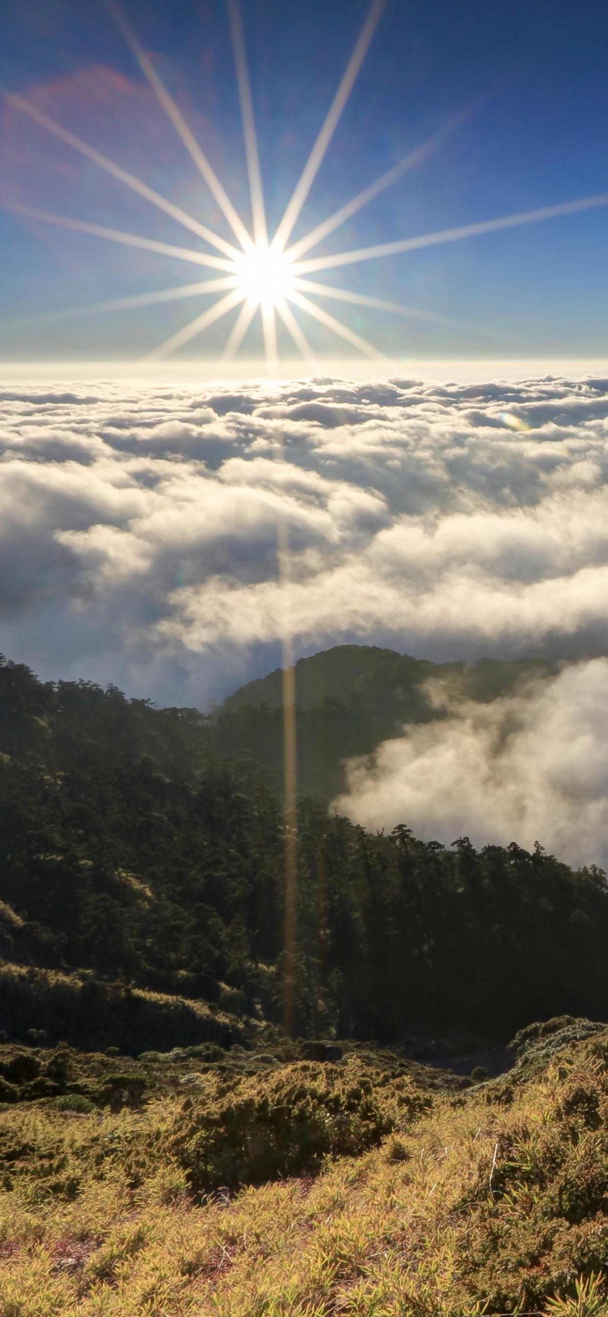 Обои горный хребет, нагорье, гора, горный рельеф, дикая местность в разрешении 1242x2688