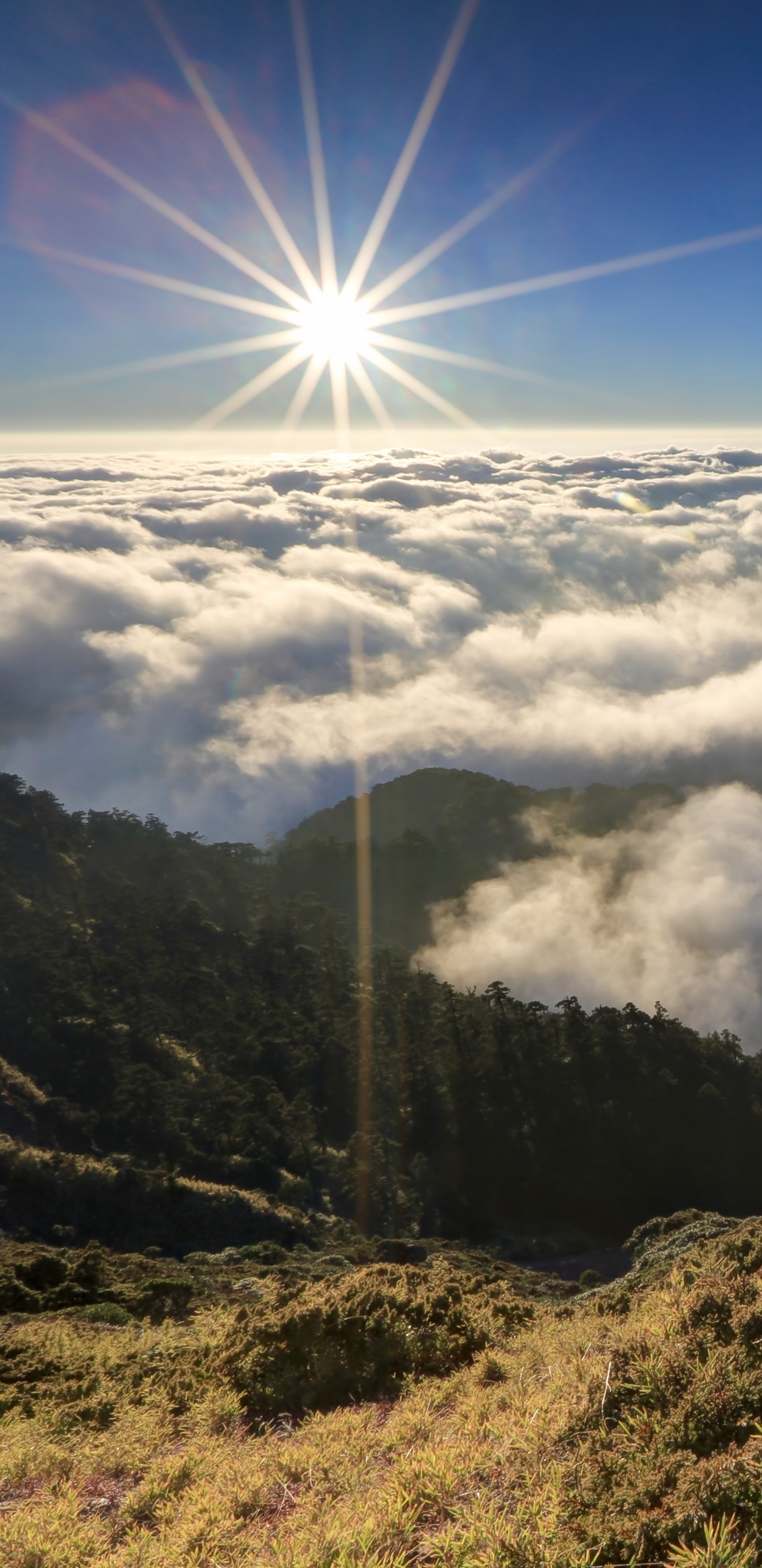 Обои горный хребет, нагорье, гора, горный рельеф, дикая местность в разрешении 1440x2960