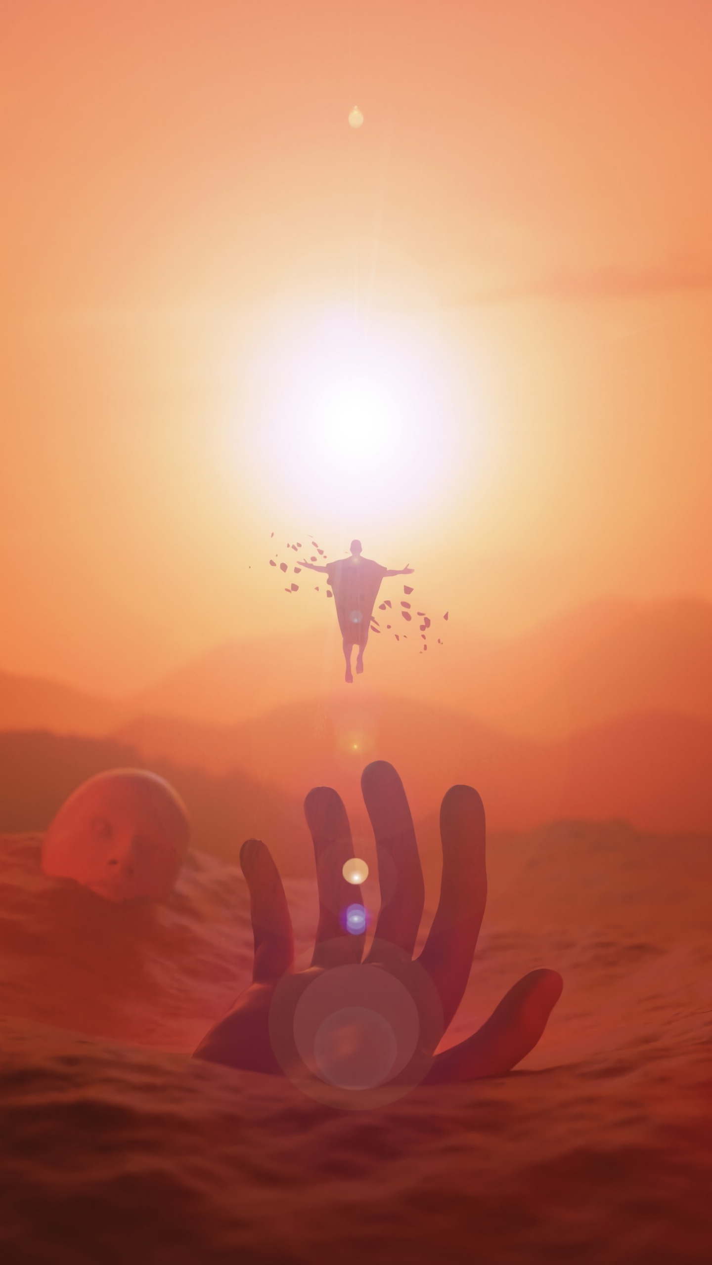 Обои восход солнца, солнце, закат, утро, солнечный свет в разрешении 1440x2560