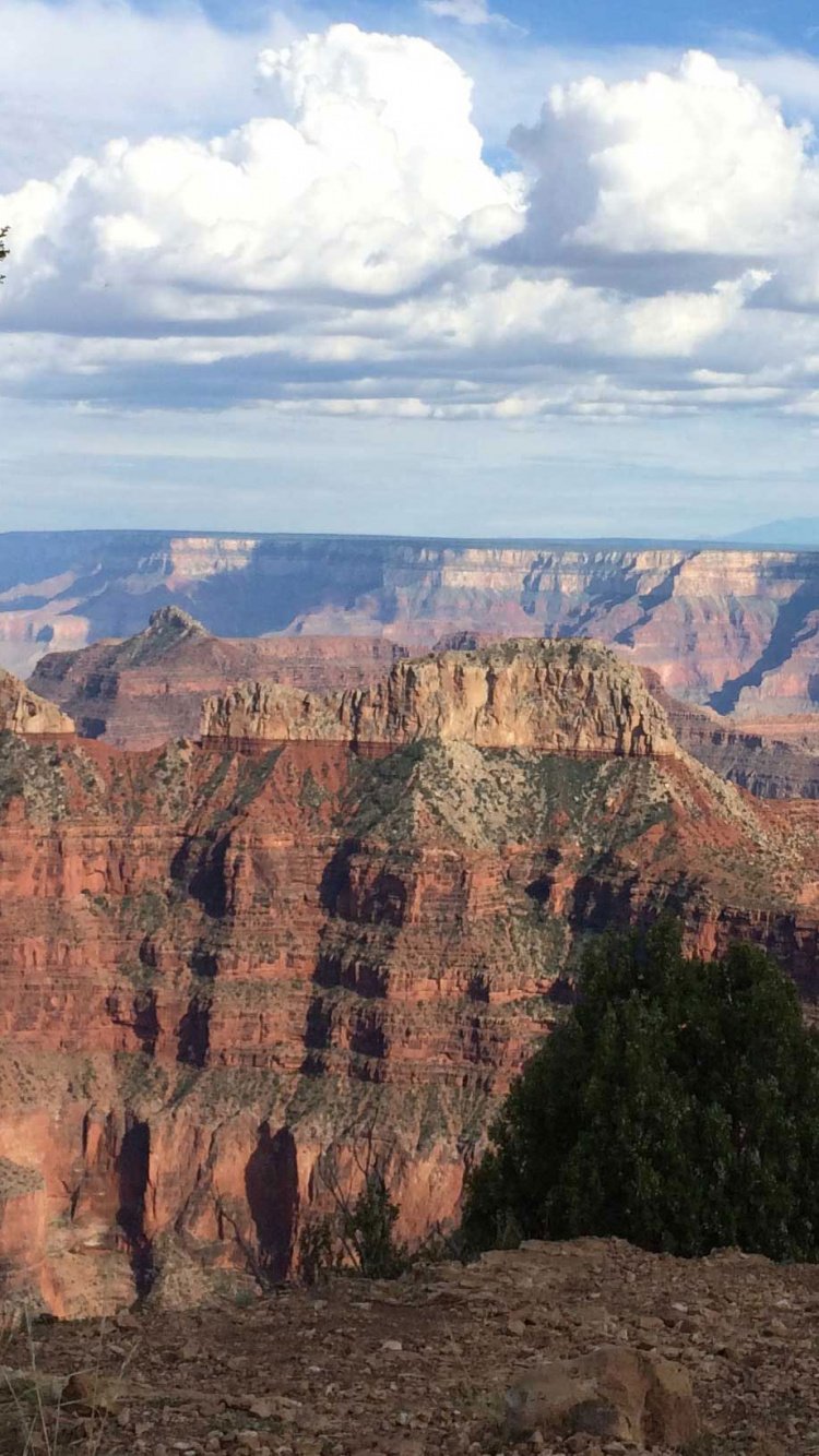 Обои Точка Возвышенный След, каньон, национальный парк, откос, обрыв в разрешении 750x1334