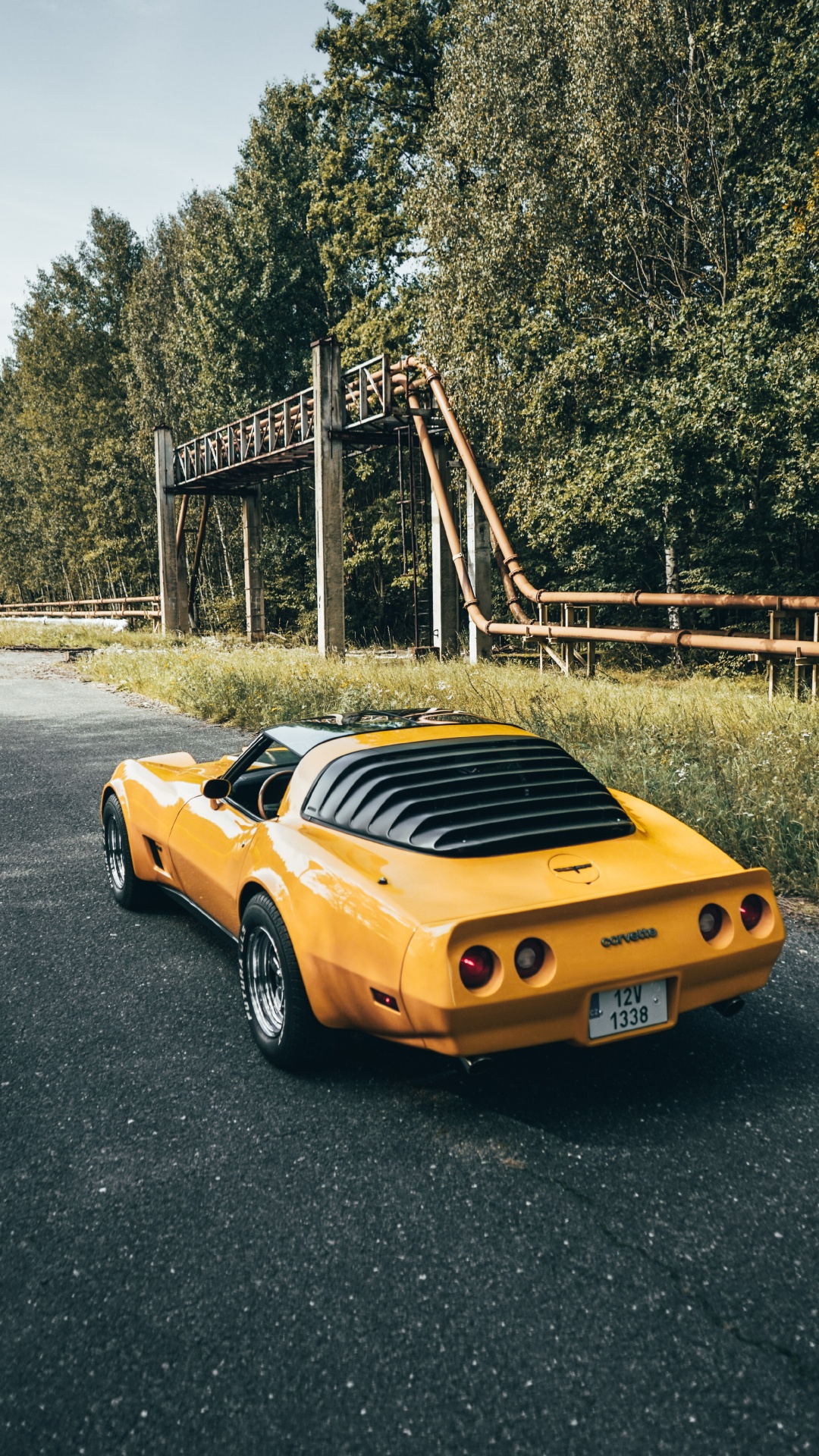 Обои спорткар, легковые автомобили, Додж Челленджер, Порше 911, бампер в разрешении 1080x1920