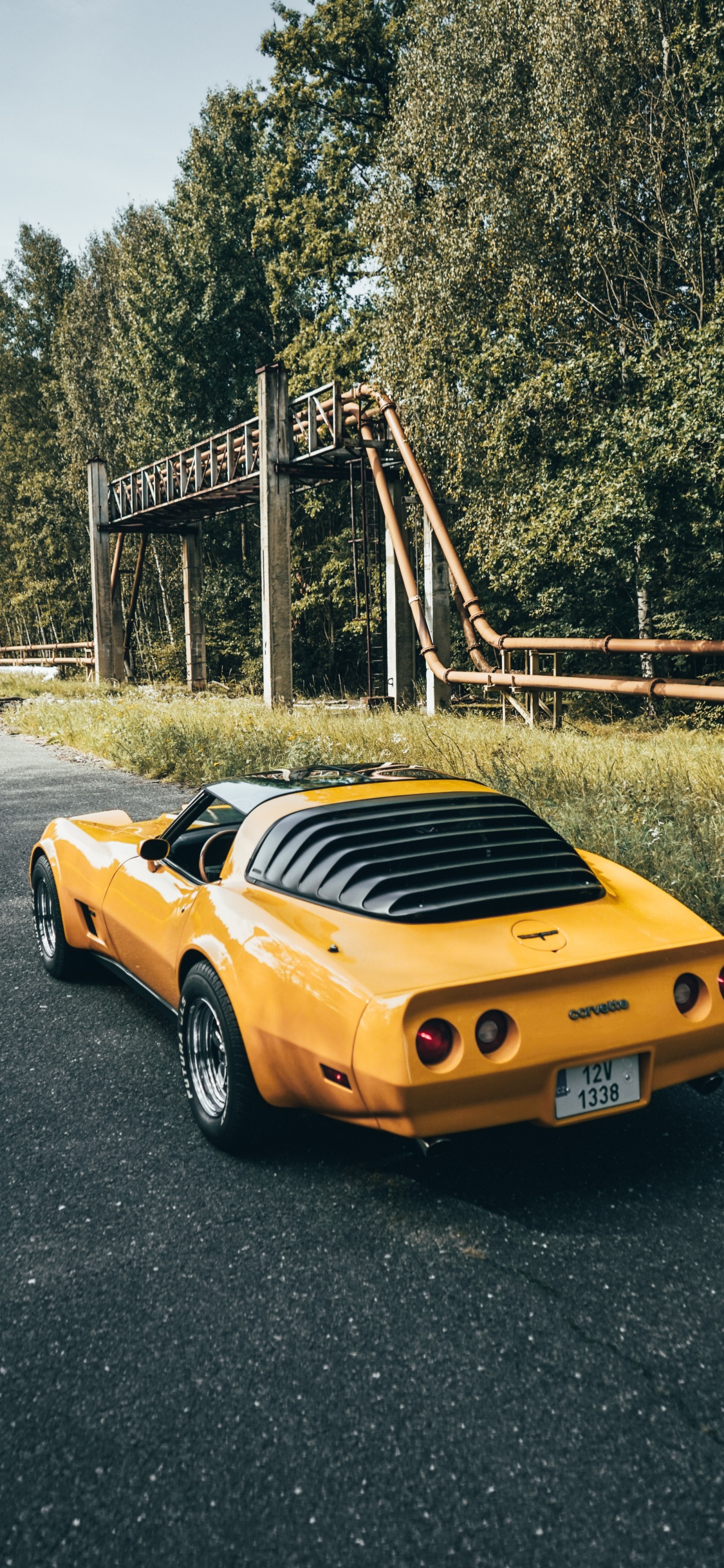 Обои спорткар, легковые автомобили, Додж Челленджер, Порше 911, бампер в разрешении 1125x2436