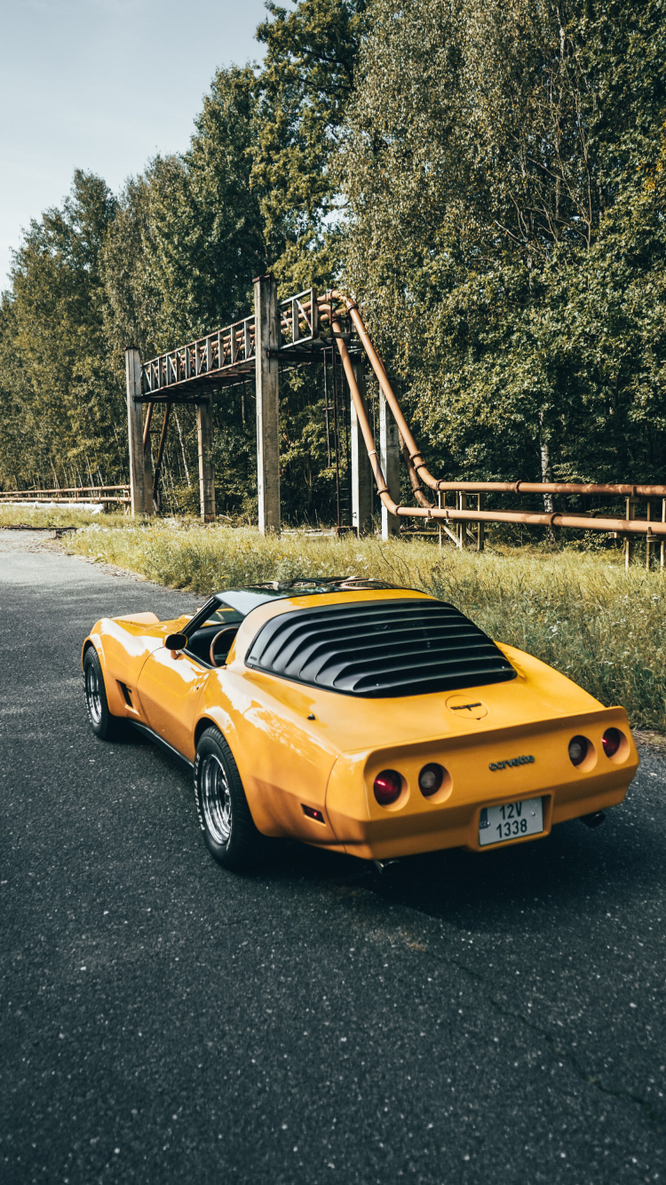 Обои спорткар, легковые автомобили, Додж Челленджер, Порше 911, бампер в разрешении 750x1334