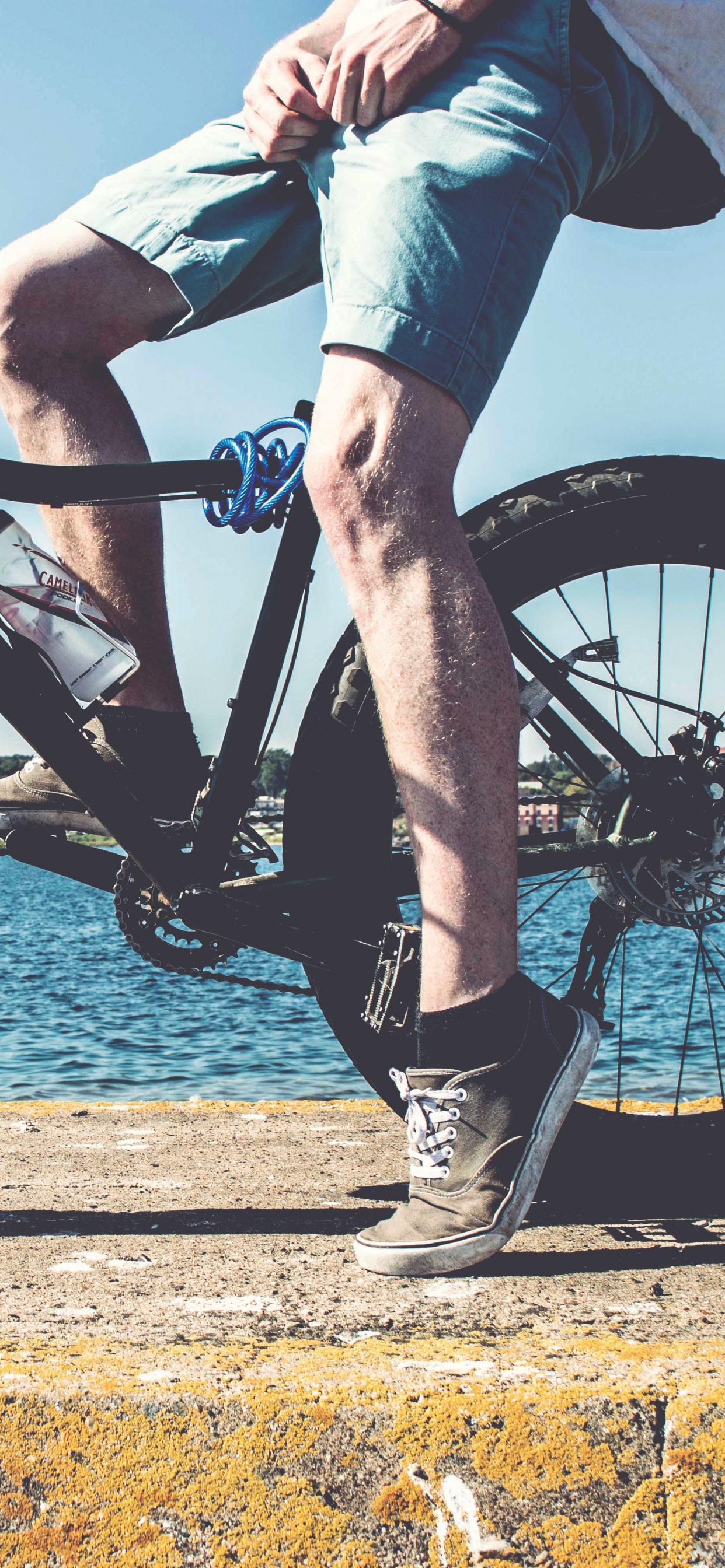 Обои велосипед, горный велосипед, Велоспорт, аренда велосипедов, велосипедное колесо в разрешении 1242x2688