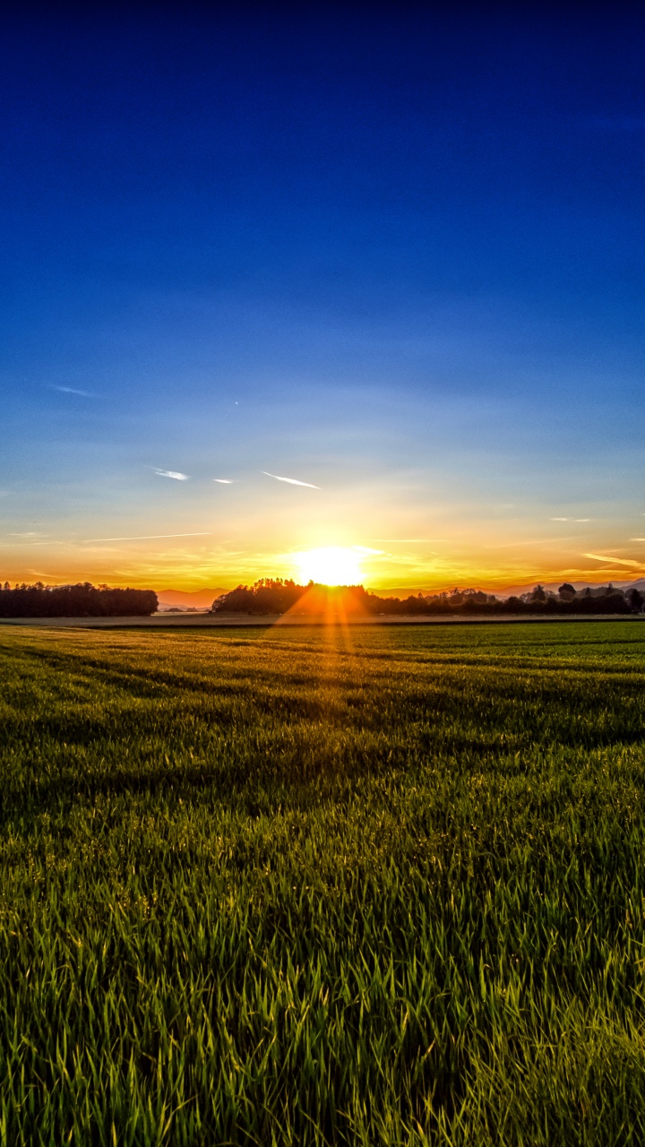 Обои природный ландшафт, природа, горизонт, восход солнца, поле в разрешении 720x1280