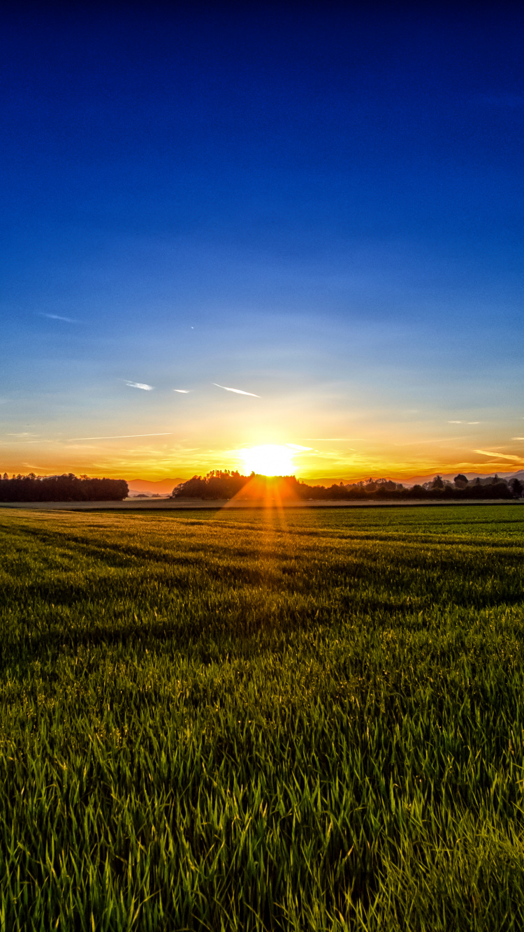 Обои природный ландшафт, природа, горизонт, восход солнца, поле в разрешении 750x1334