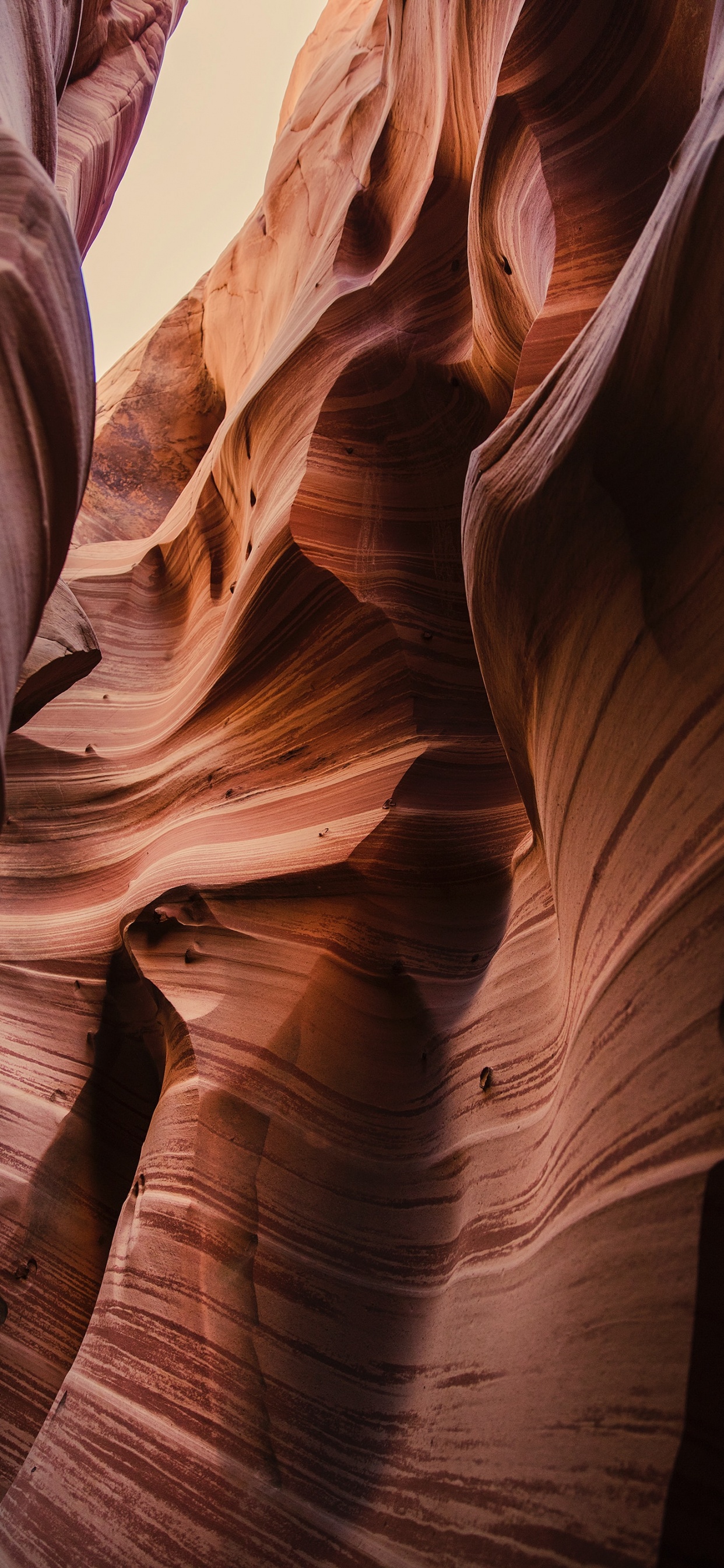 Обои каньон, формирование, геология, рок, теснина в разрешении 1242x2688