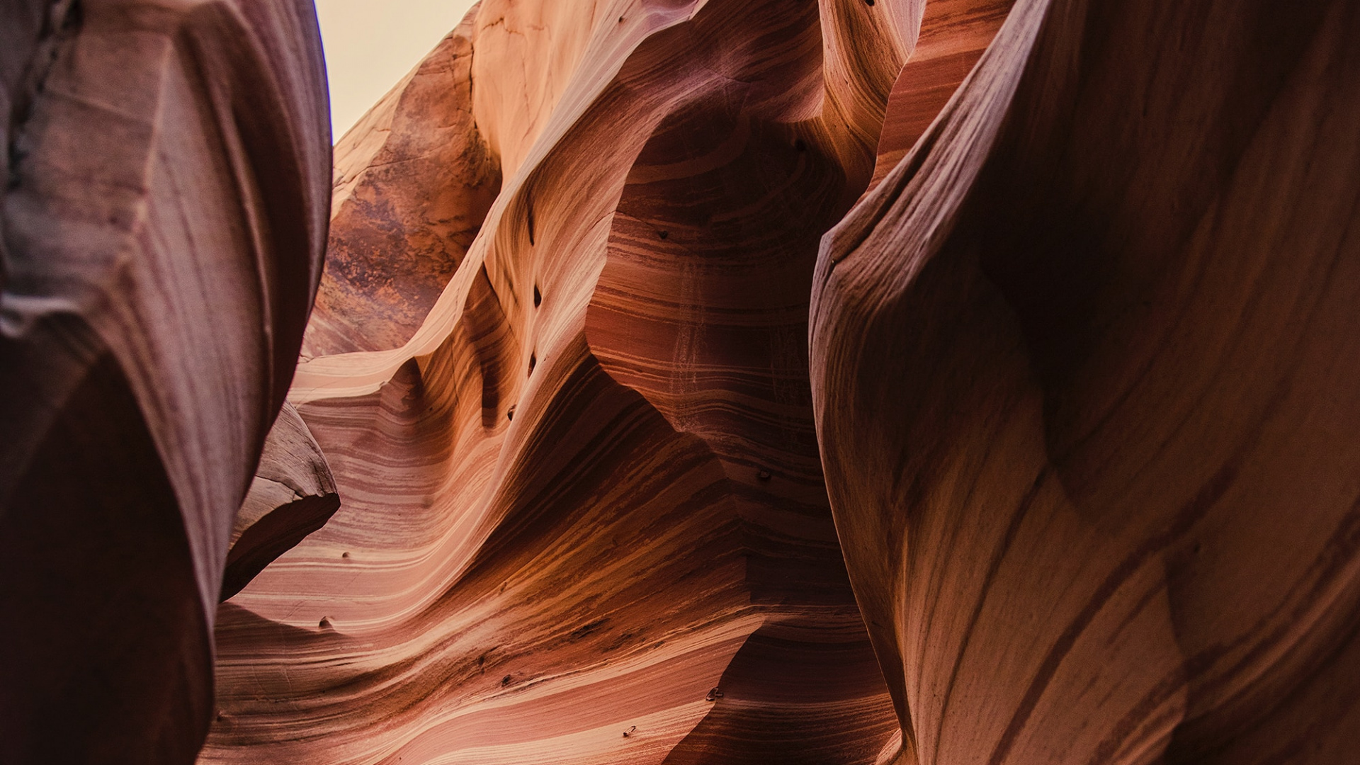 Обои каньон, формирование, геология, рок, теснина в разрешении 1920x1080