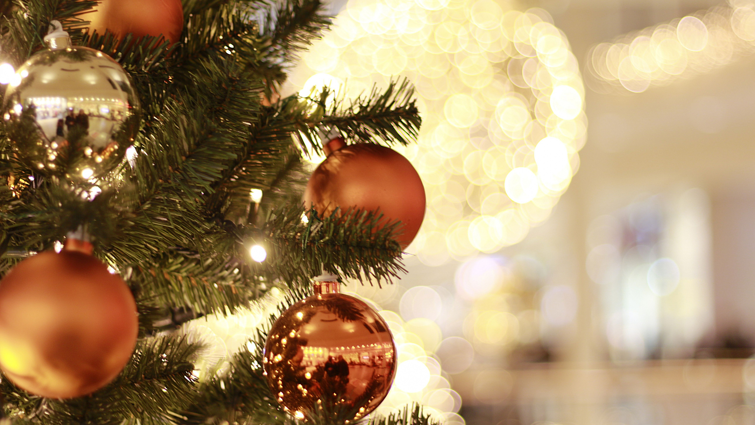 Обои елка, рождественский орнамент, Рождественский день, Рождественские огни, Рождественские украшения в разрешении 2560x1440