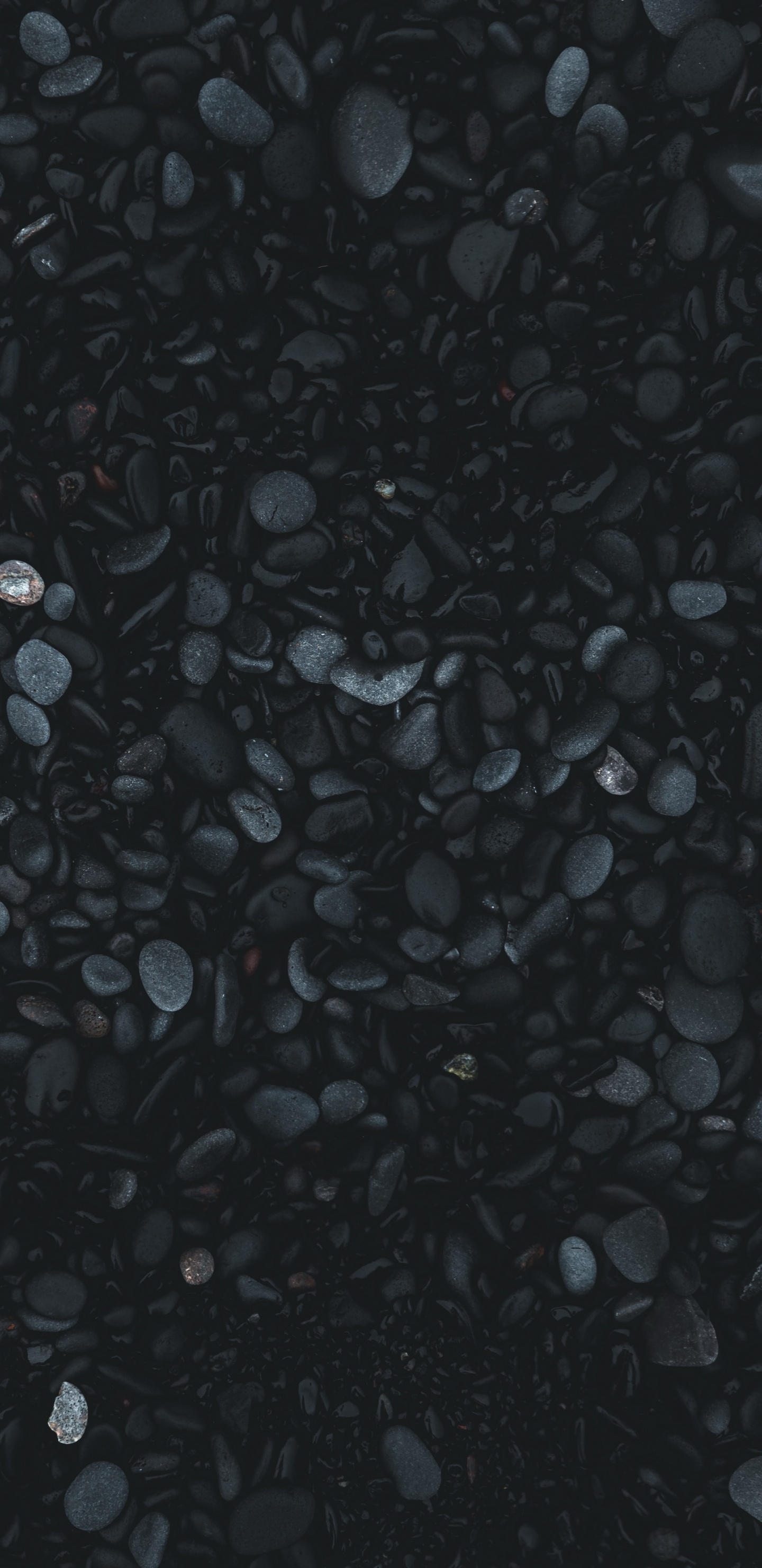 Обои асфальт, черный, дождь, гранит, Черный Белый - М в разрешении 1440x2960