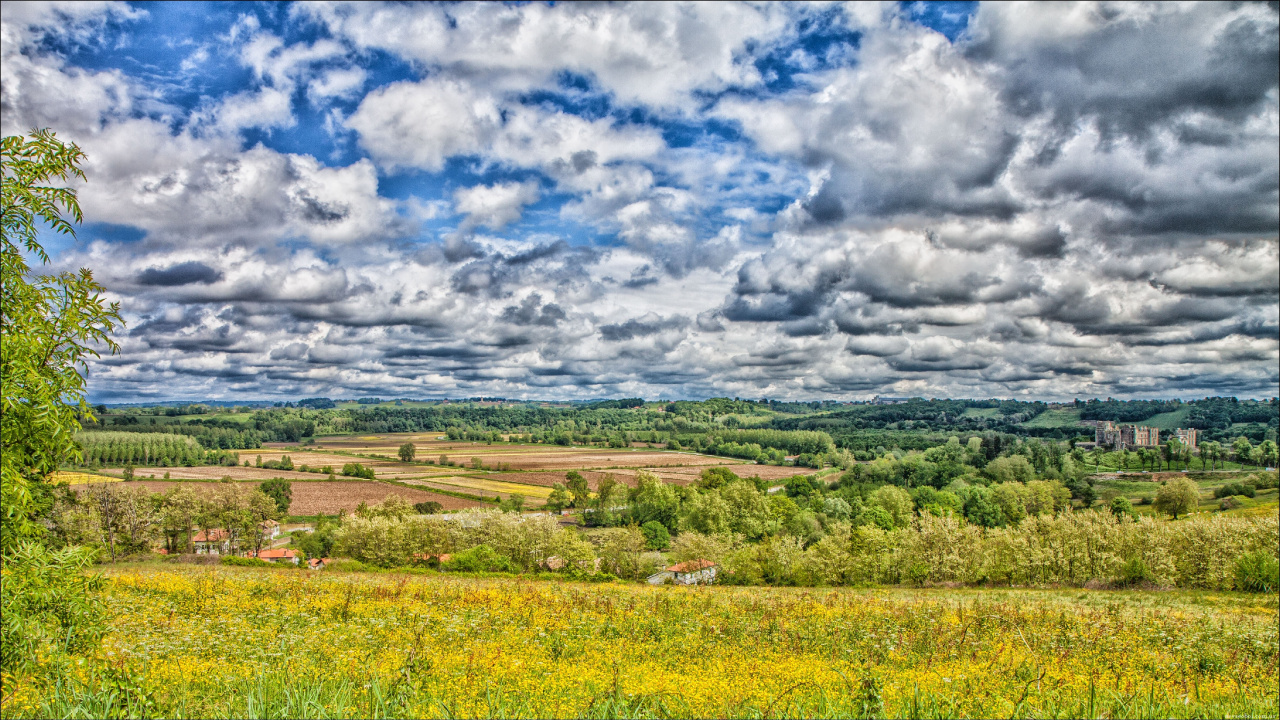 Обои природа, сенокосное угодье, поле, облако, прерия в разрешении 1280x720