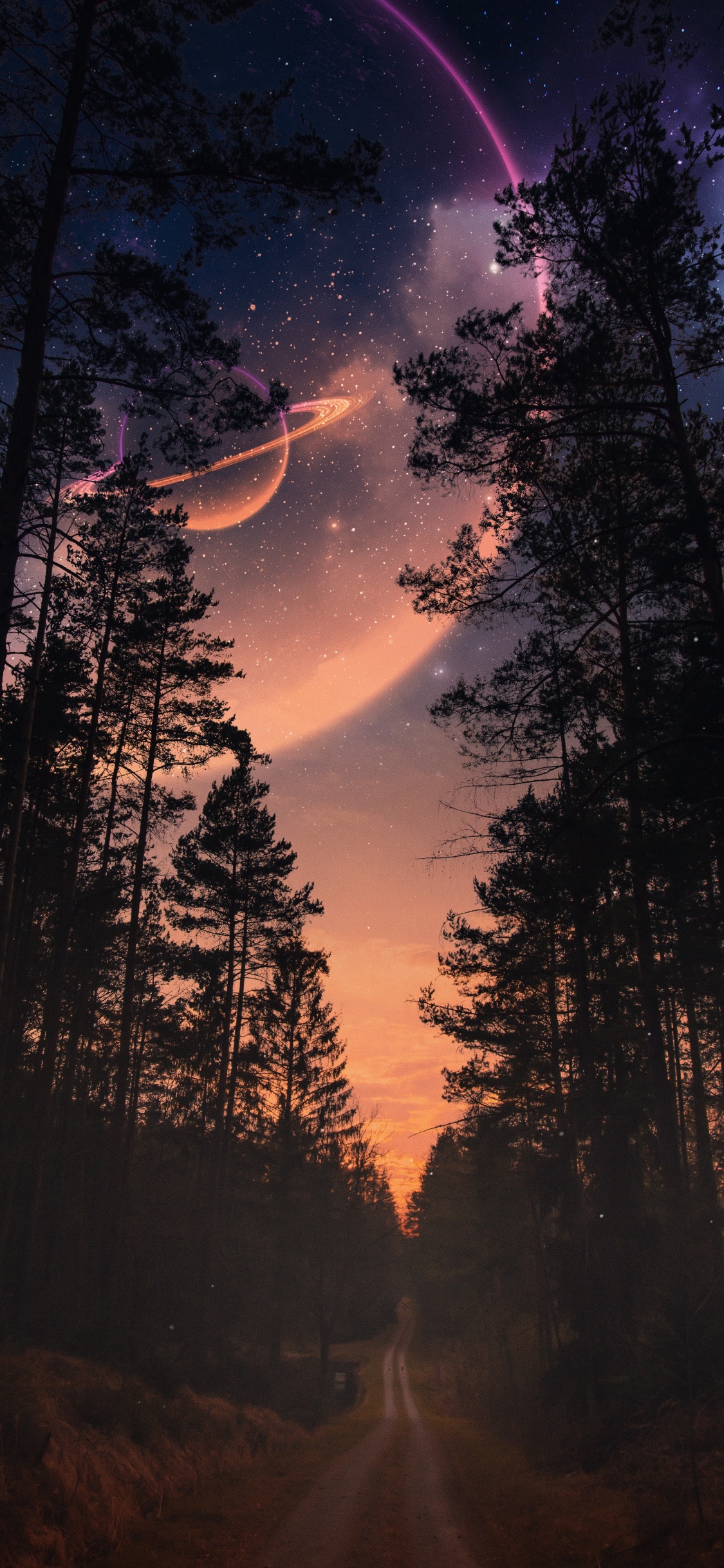 Обои природа, пейзаж, атмосфера, растение, облако в разрешении 1125x2436