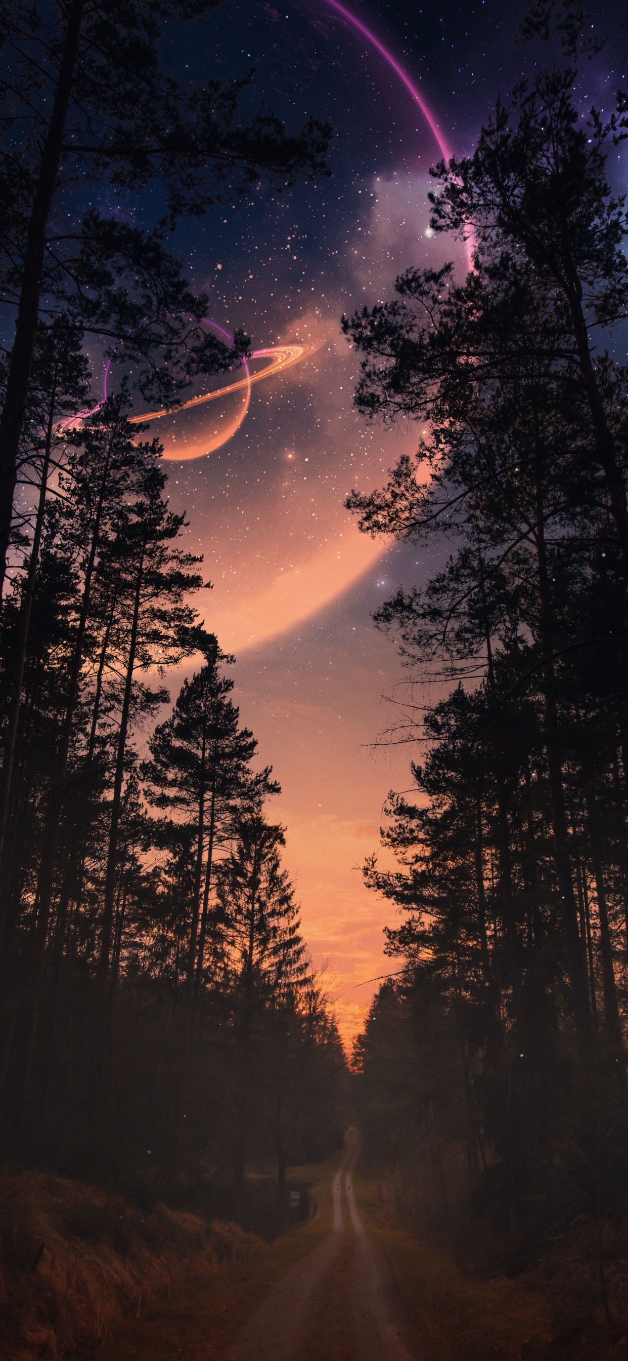 Обои природа, пейзаж, атмосфера, растение, облако в разрешении 1242x2688