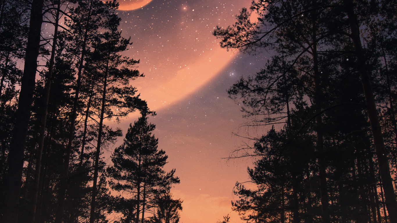 Обои природа, пейзаж, атмосфера, растение, облако в разрешении 1366x768