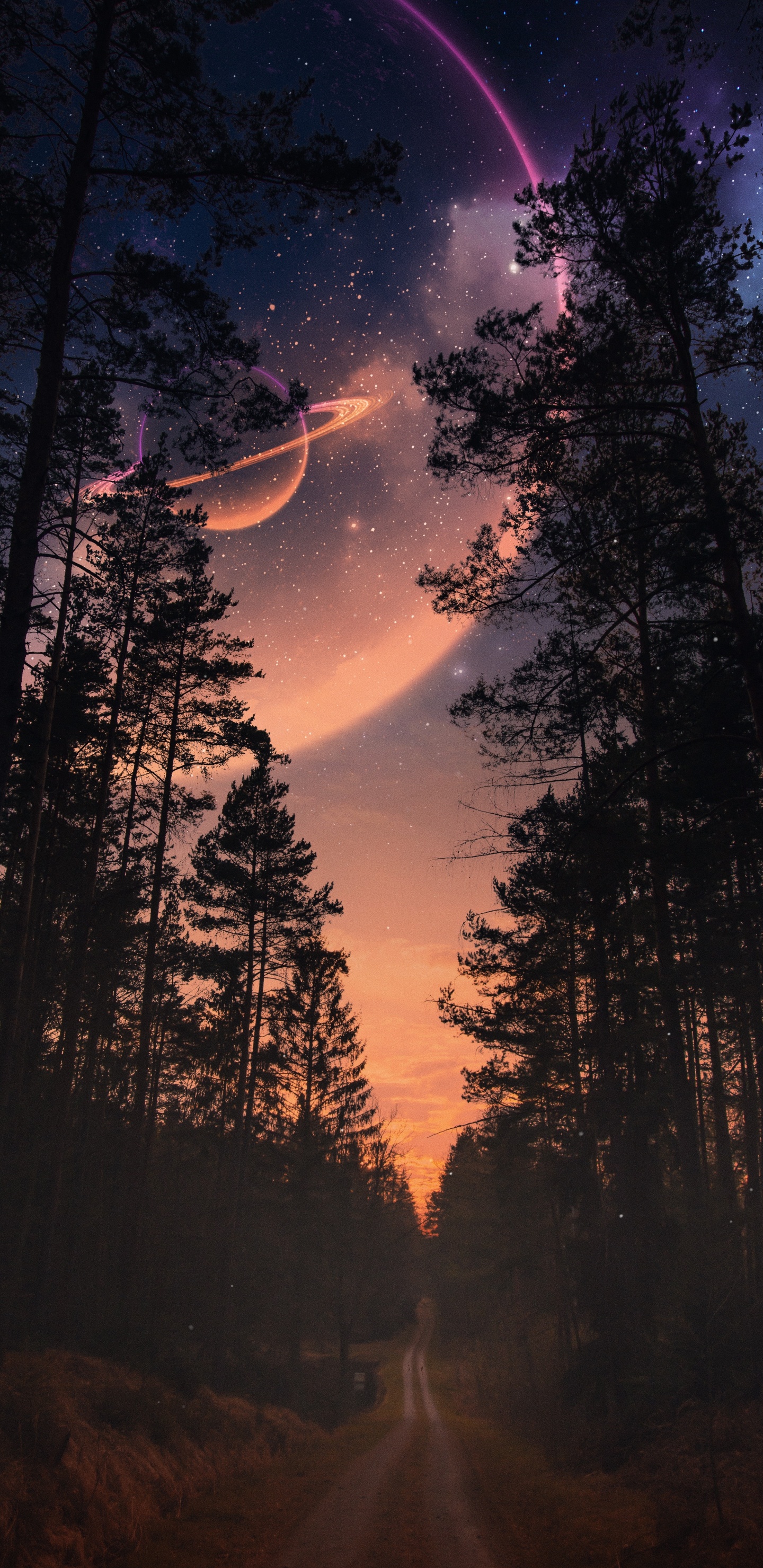 Обои природа, пейзаж, атмосфера, растение, облако в разрешении 1440x2960