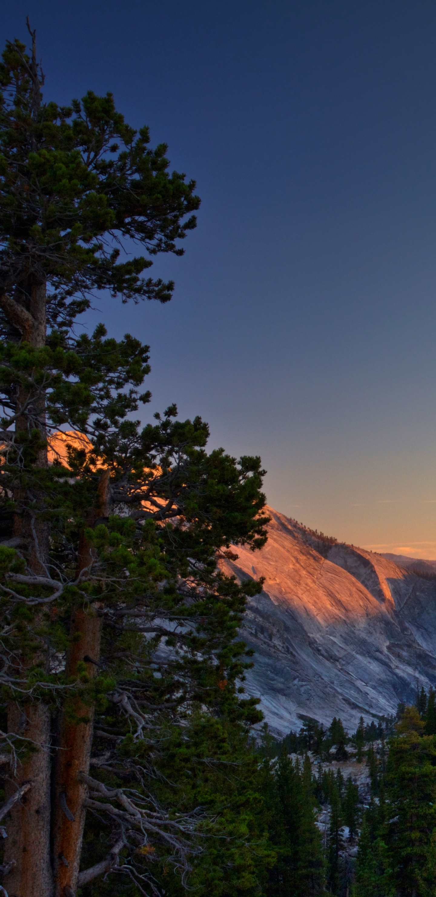Обои национальный парк, парк, дикая местность, гора, природа в разрешении 1440x2960