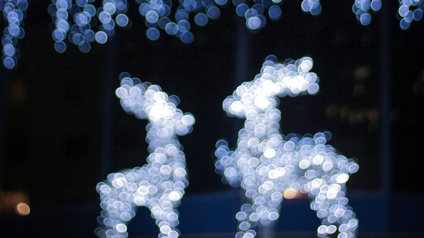 Обои Рождественский день, синий, свет, дерево, зима в разрешении 1366x768