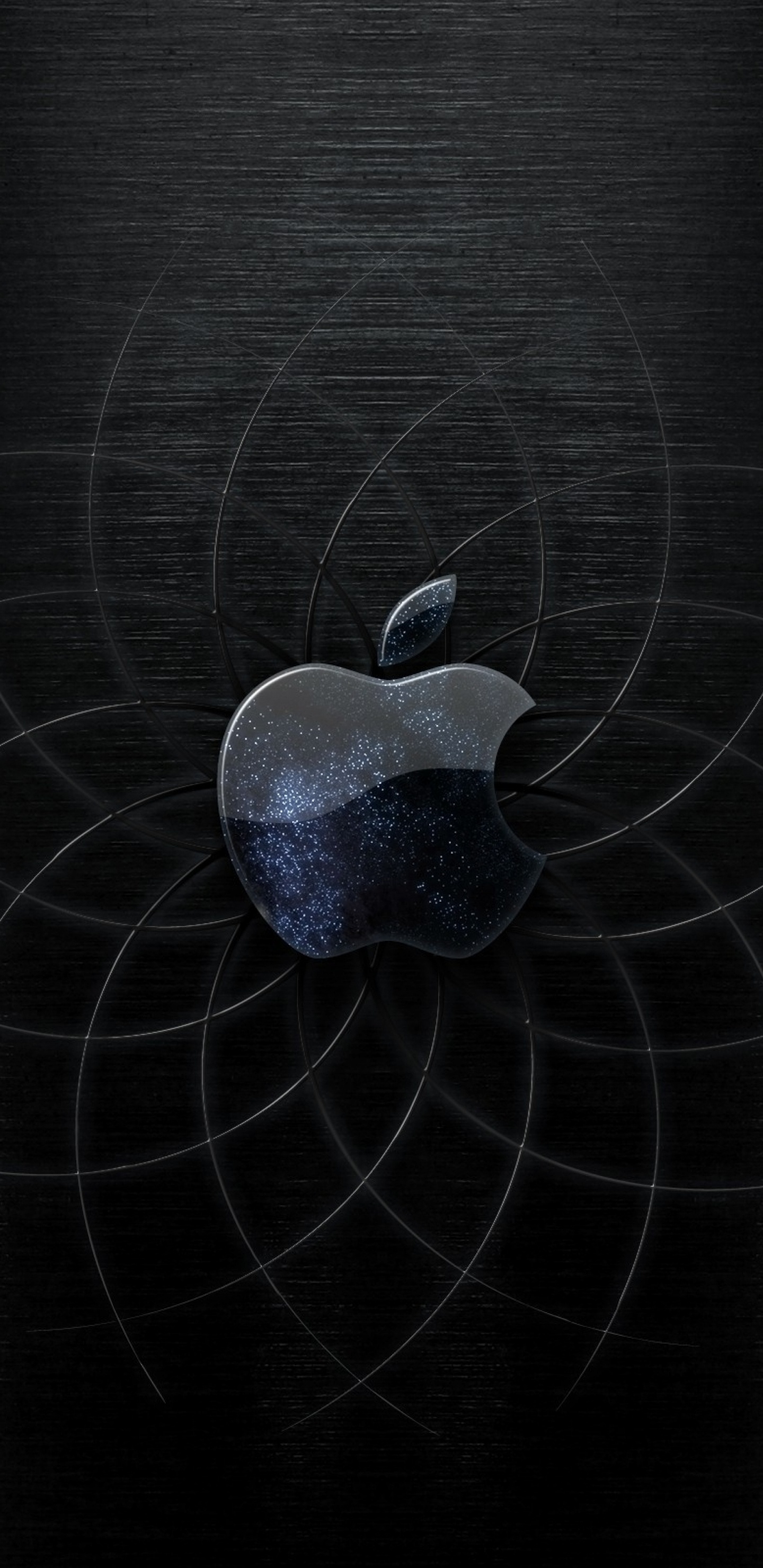 Обои черный, черный и белый, темнота, лого, растение в разрешении 1440x2960