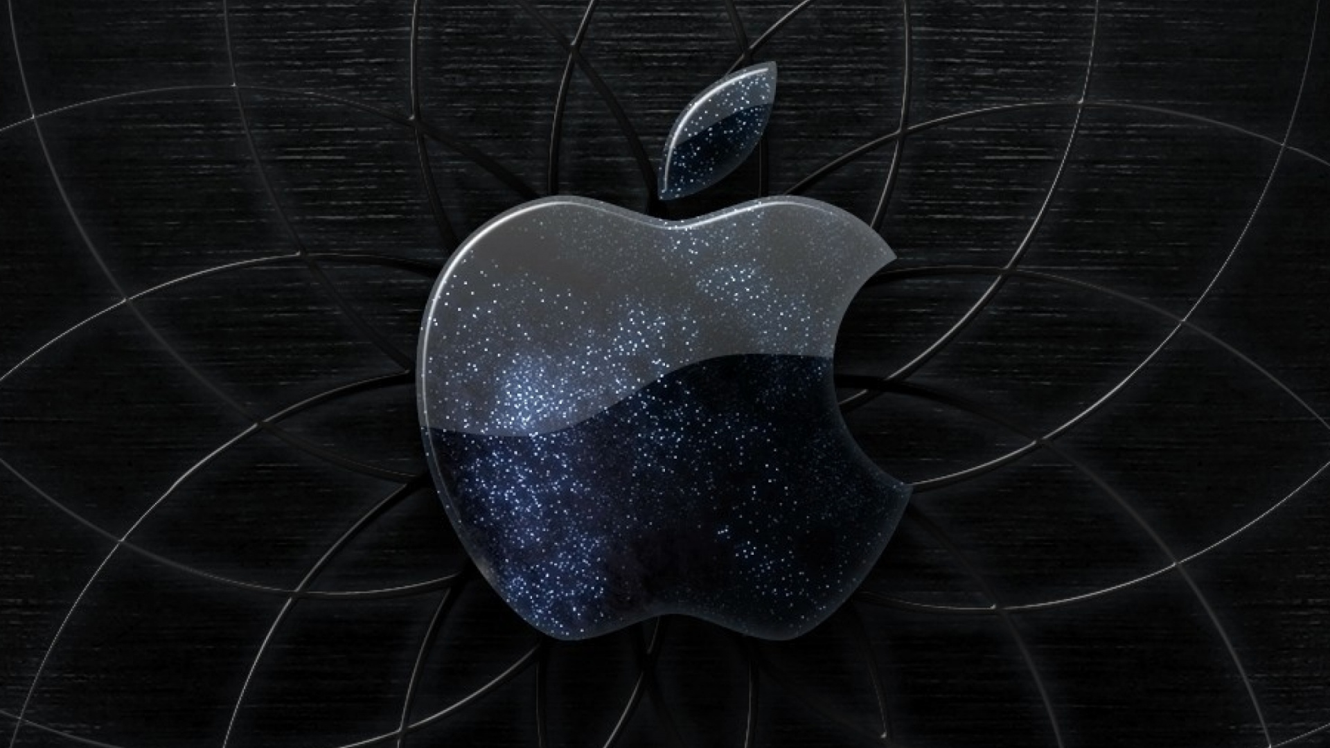 Обои черный, черный и белый, темнота, лого, растение в разрешении 1920x1080