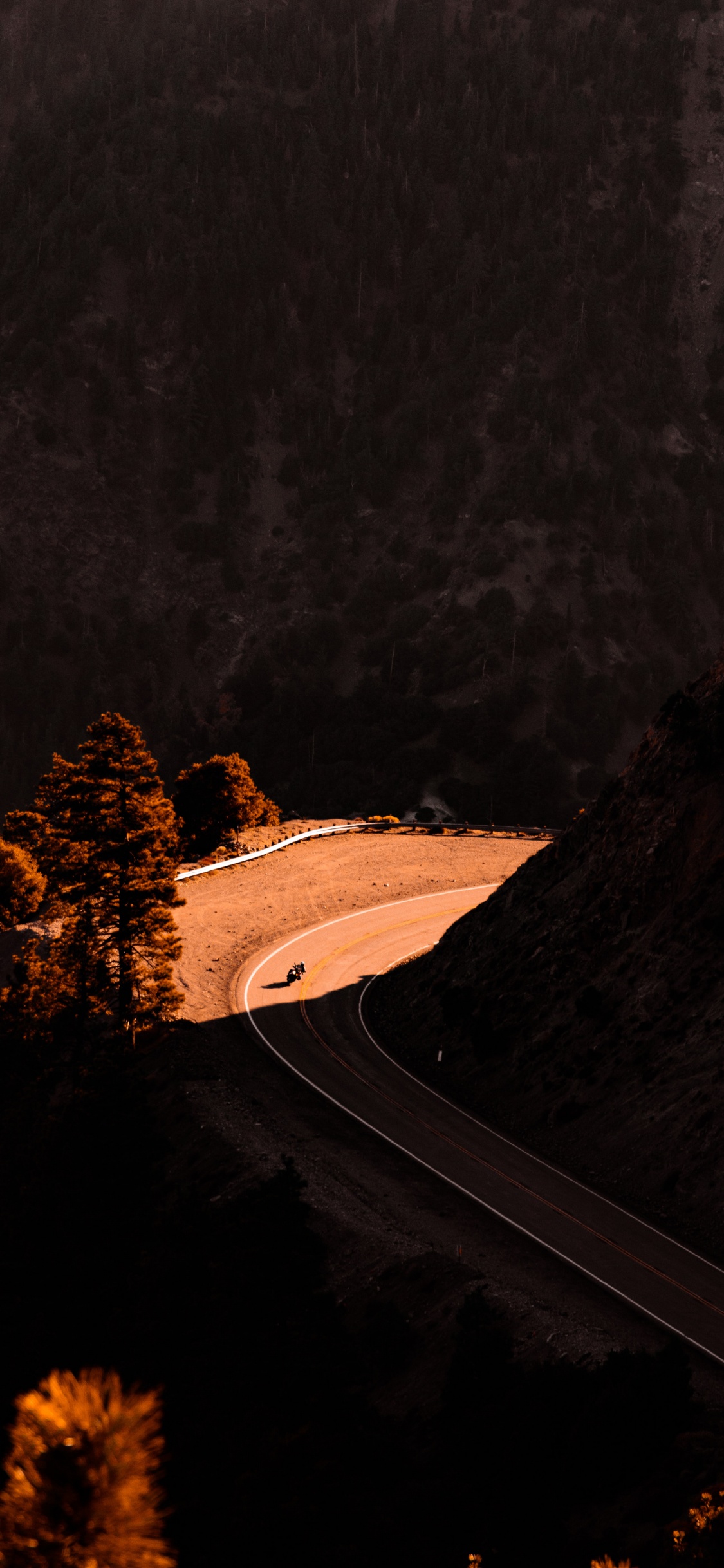 Обои котировки на долгую поездку, котировка, природный ландшафт, растение, древесина в разрешении 1125x2436