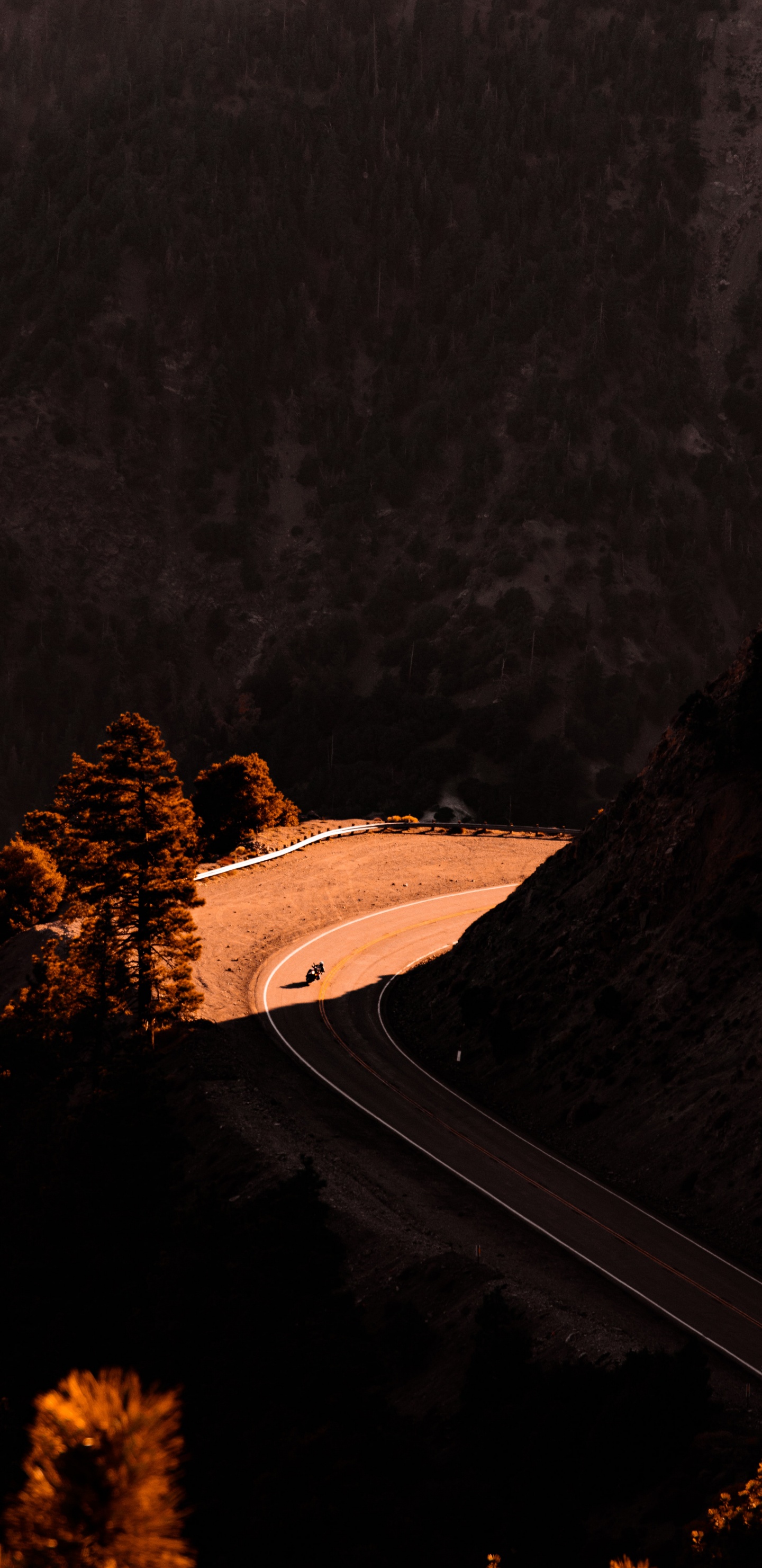 Обои котировки на долгую поездку, котировка, природный ландшафт, растение, древесина в разрешении 1440x2960