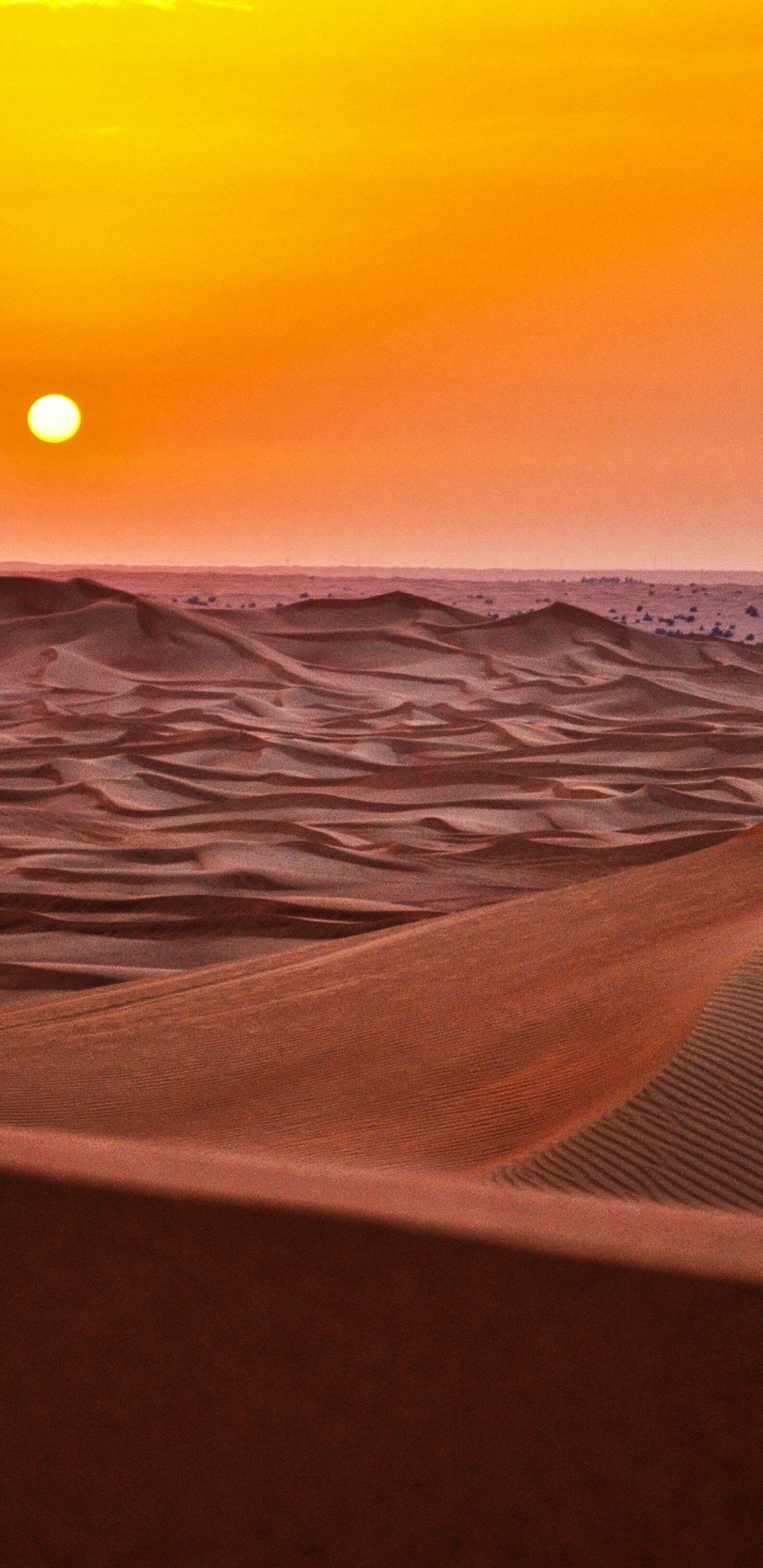 Обои пустыня сахара, Верблюдах, пустыня, эргшебби, Дюна в разрешении 1440x2960
