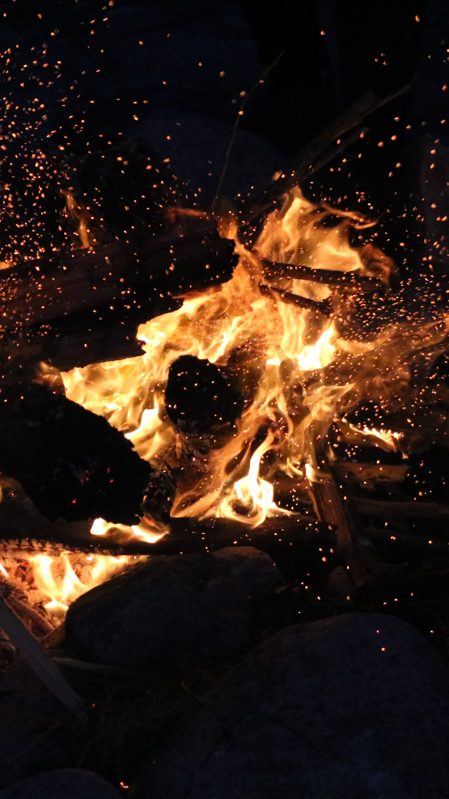 Обои огонь, пламя, тепло, костер, ночь в разрешении 1440x2560