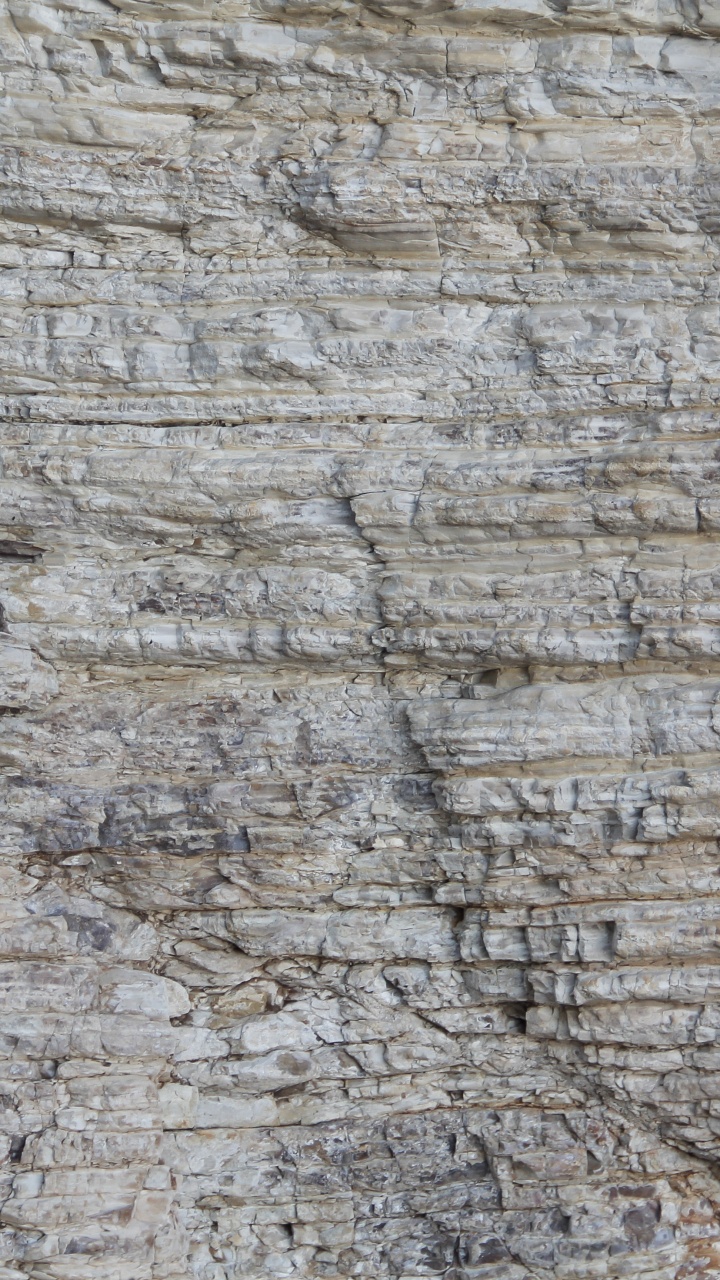 Обои рок, текстура, каменная стена, стена, древесина в разрешении 720x1280