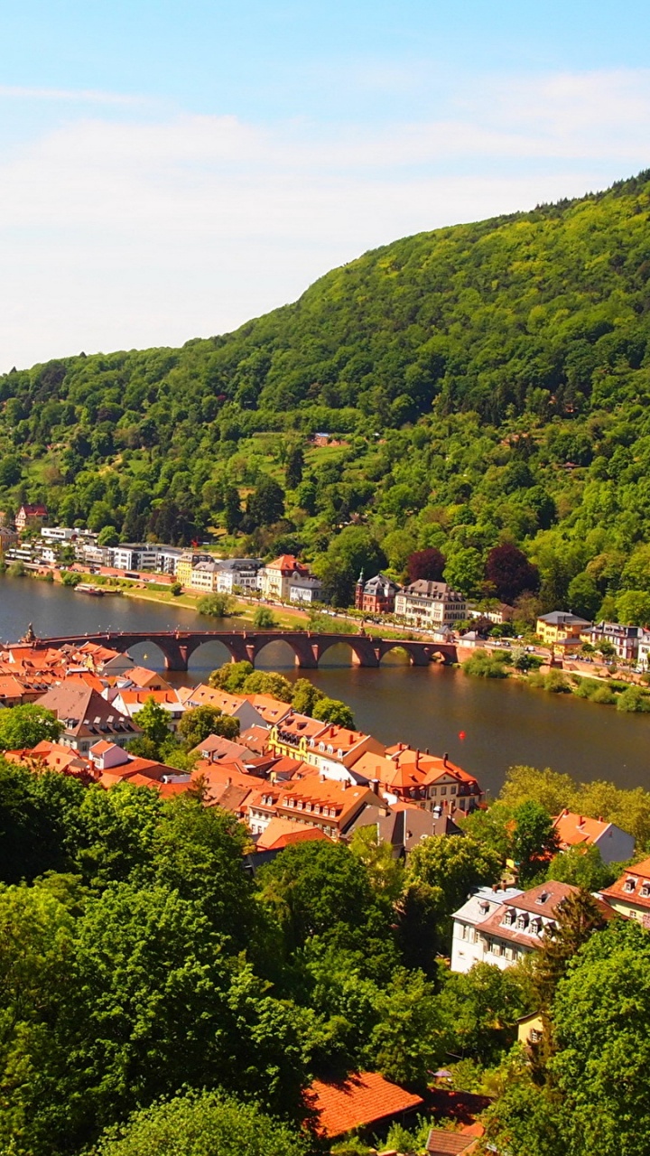 Обои река Некар, пейзаж, городской пейзаж, природа, растительность в разрешении 720x1280