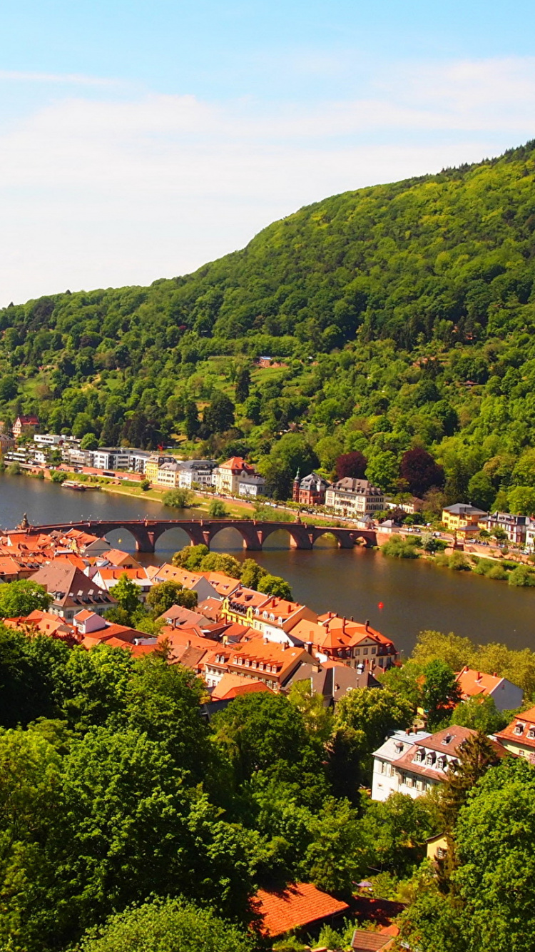 Обои река Некар, пейзаж, городской пейзаж, природа, растительность в разрешении 750x1334
