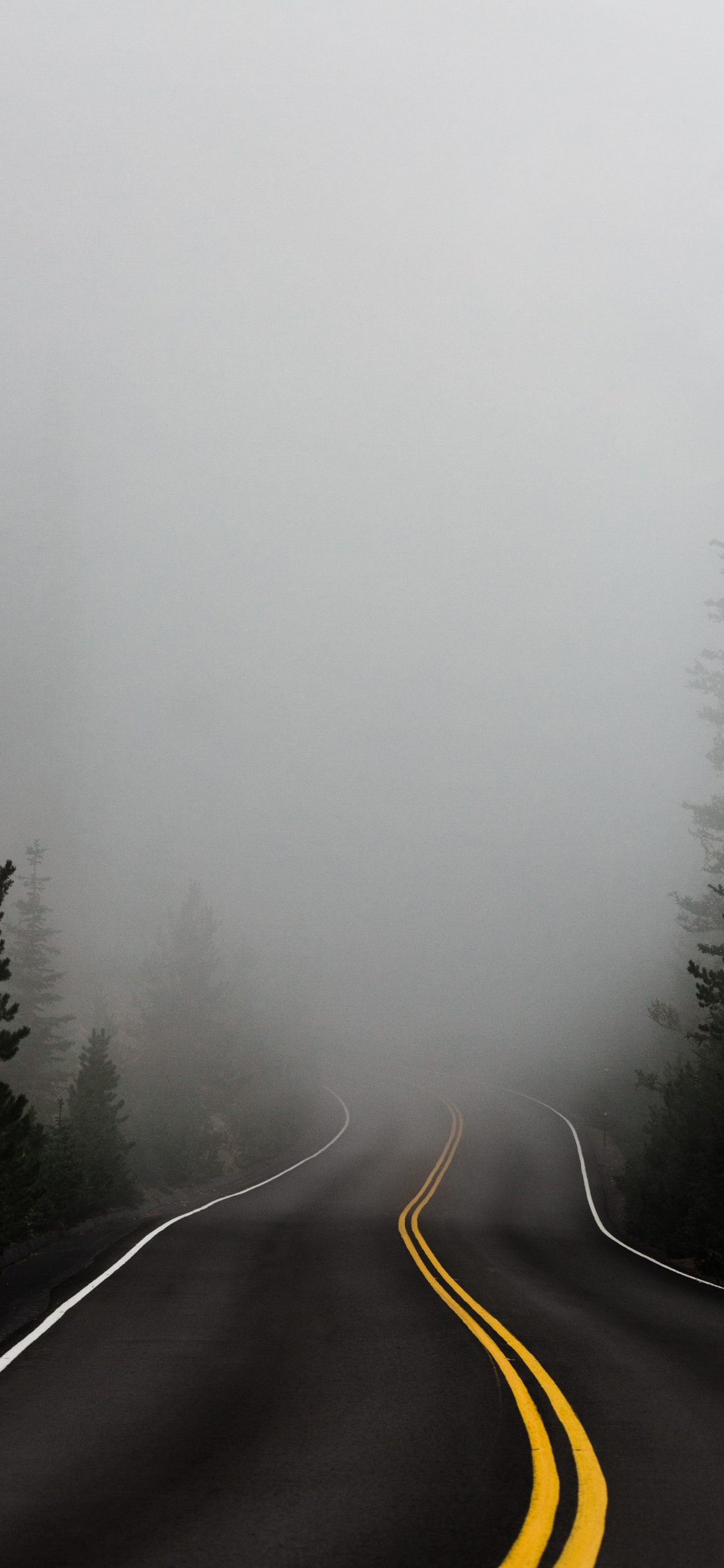 Обои дымка, туман, дерево, зима, мгла в разрешении 1125x2436