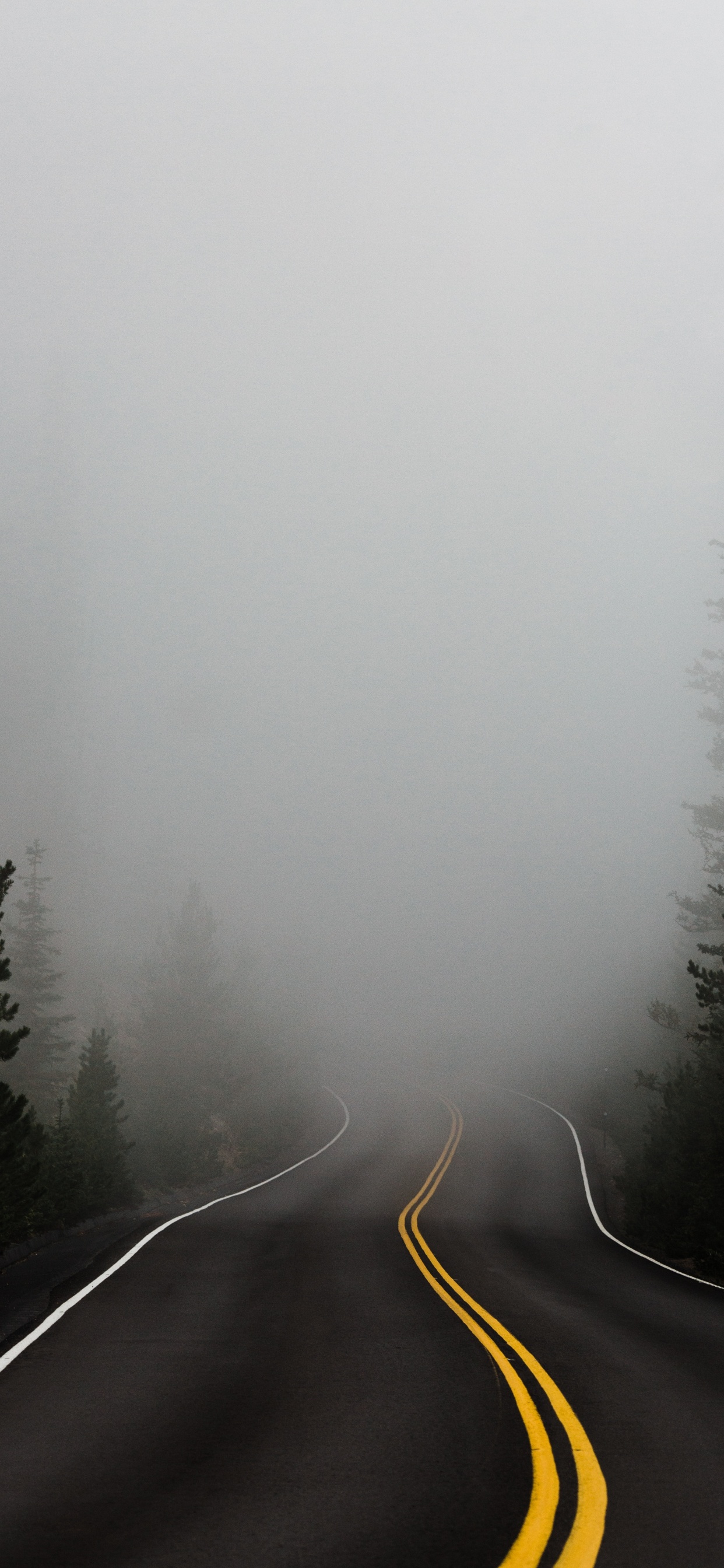 Обои дымка, туман, дерево, зима, мгла в разрешении 1242x2688
