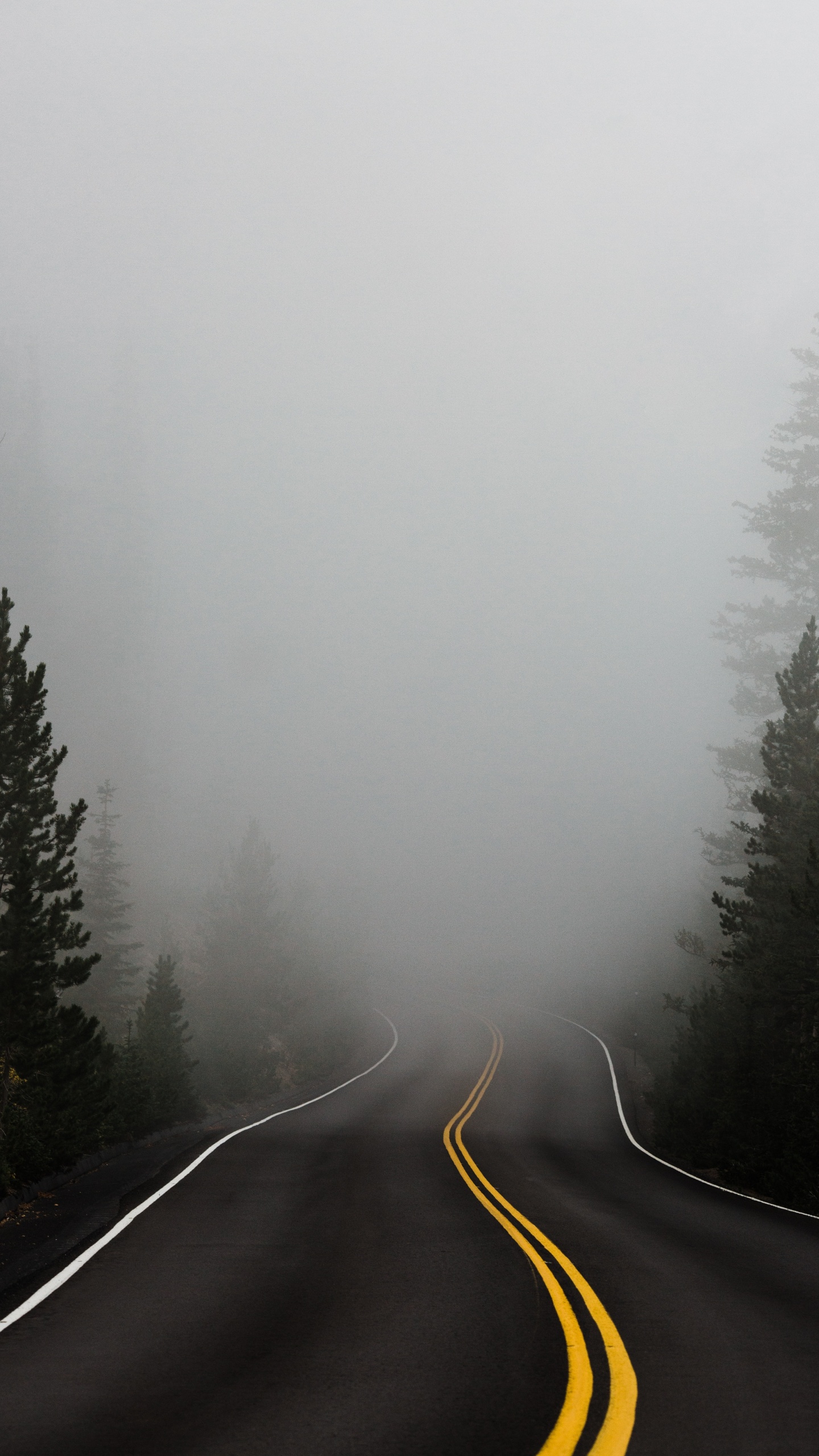 Обои дымка, туман, дерево, зима, мгла в разрешении 1440x2560