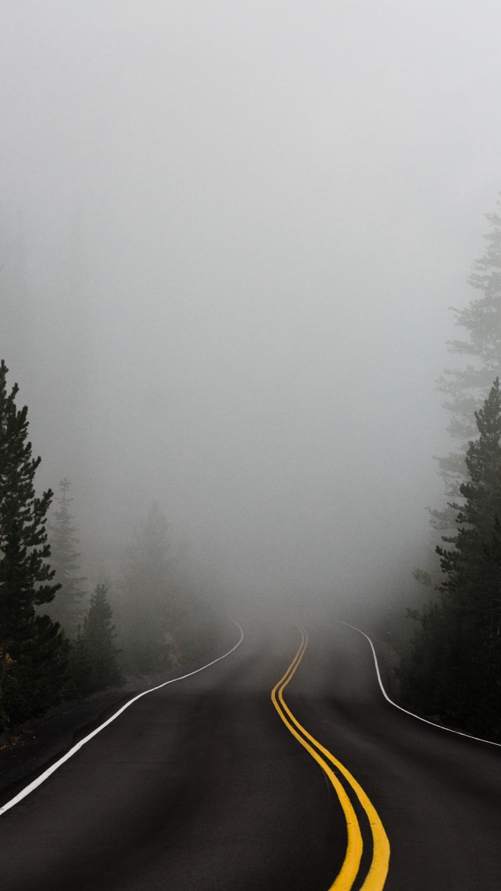 Обои дымка, туман, дерево, зима, мгла в разрешении 720x1280